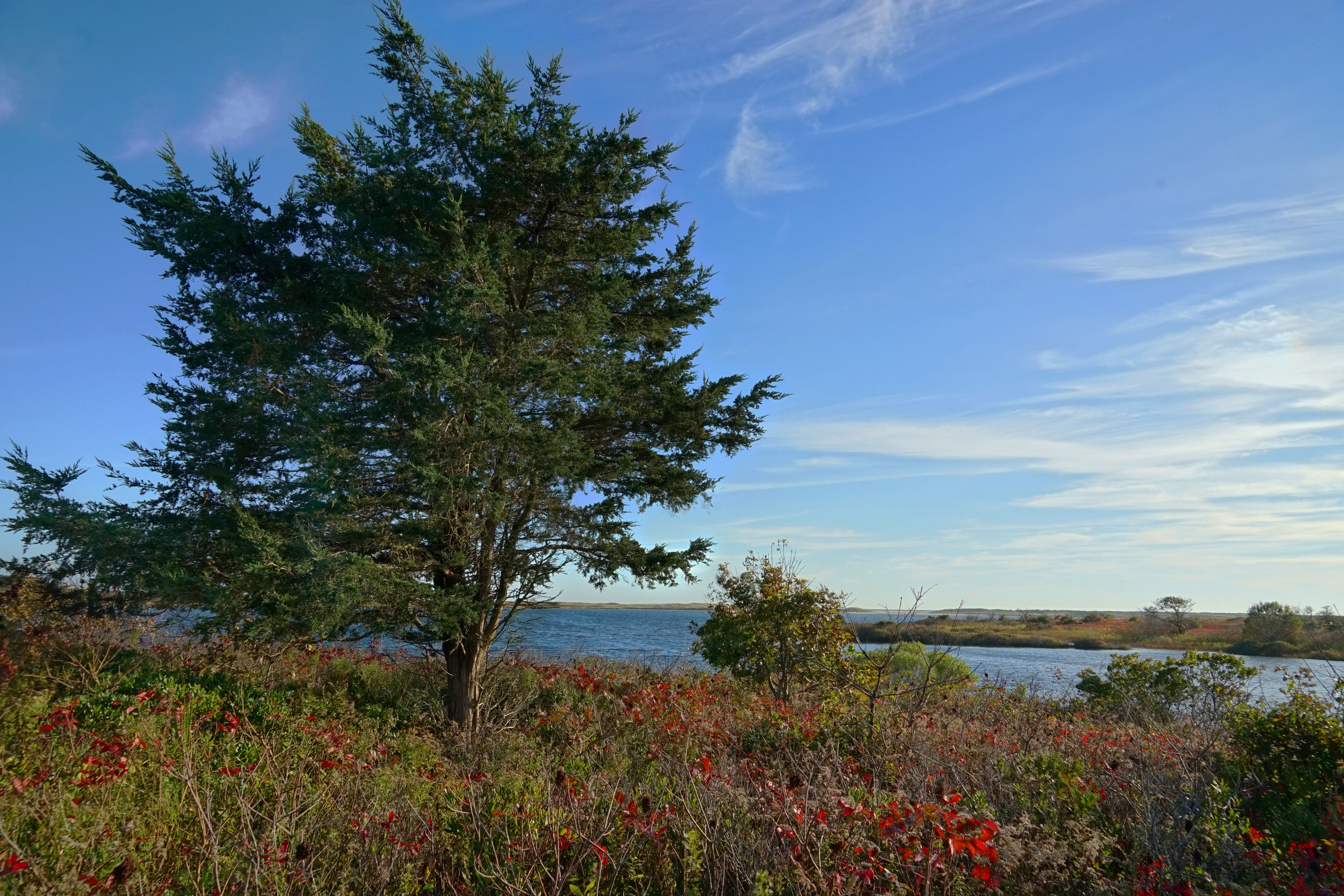 view of Long Cove