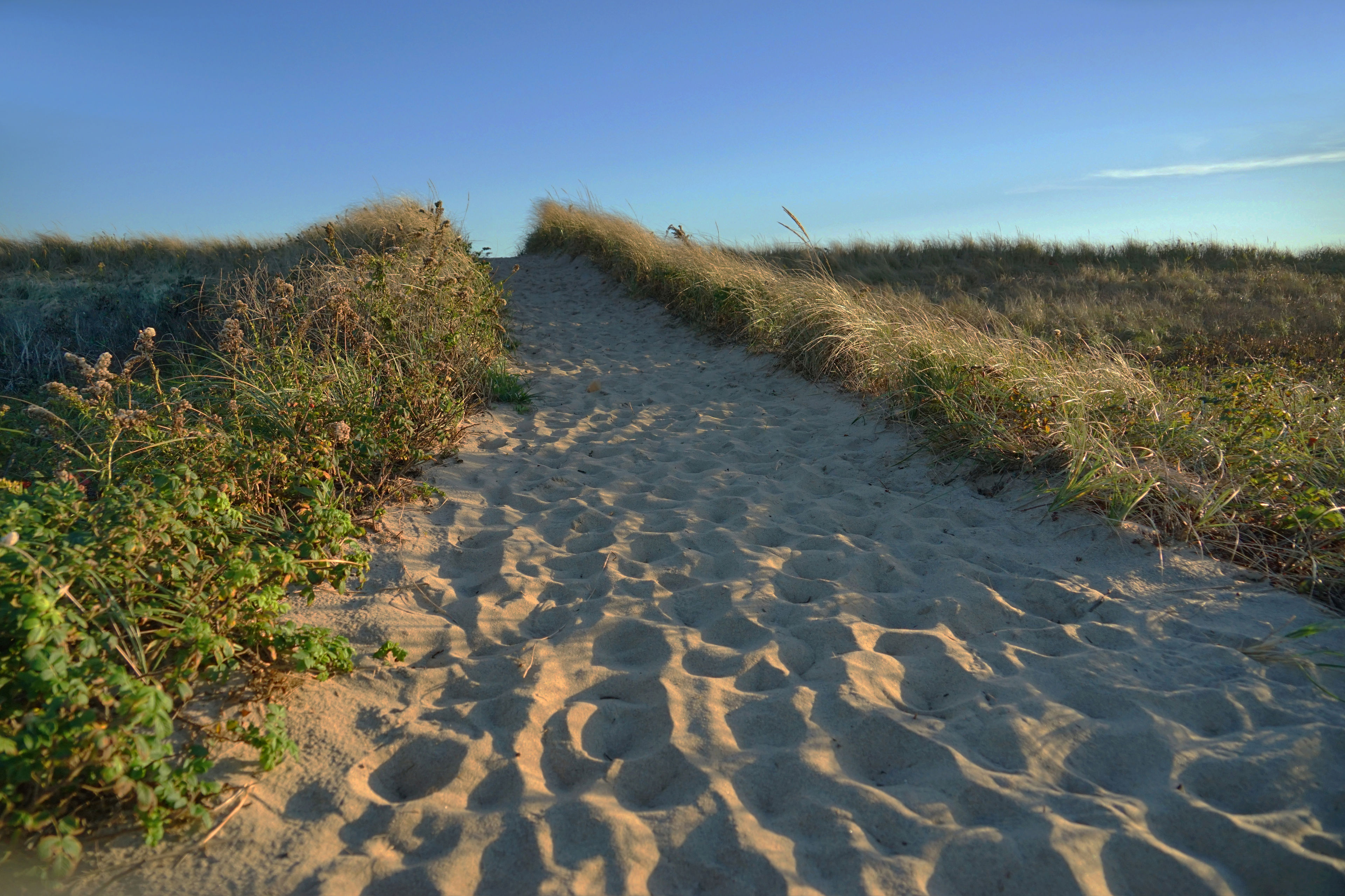 path over the dunes