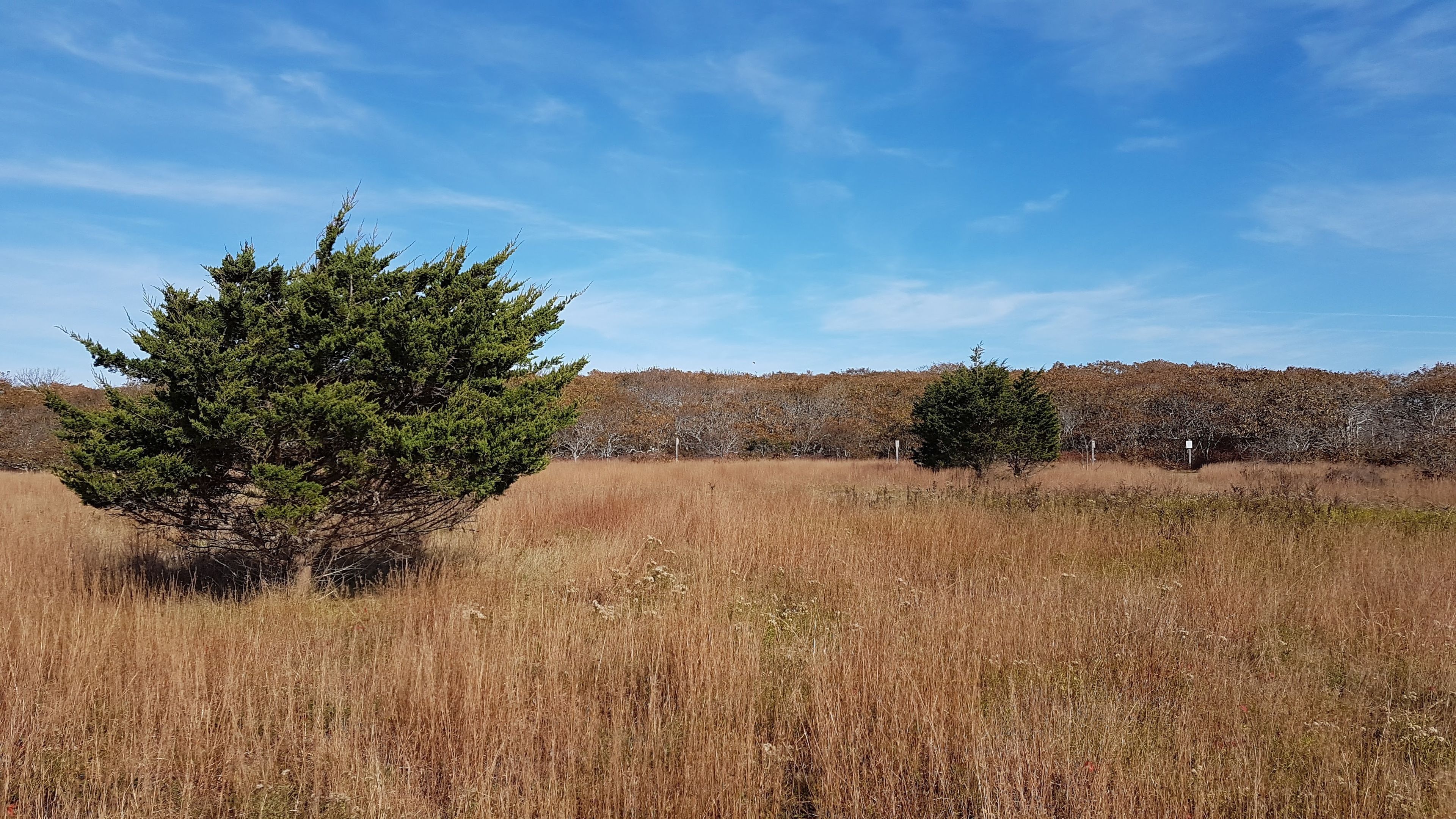 view of field by path