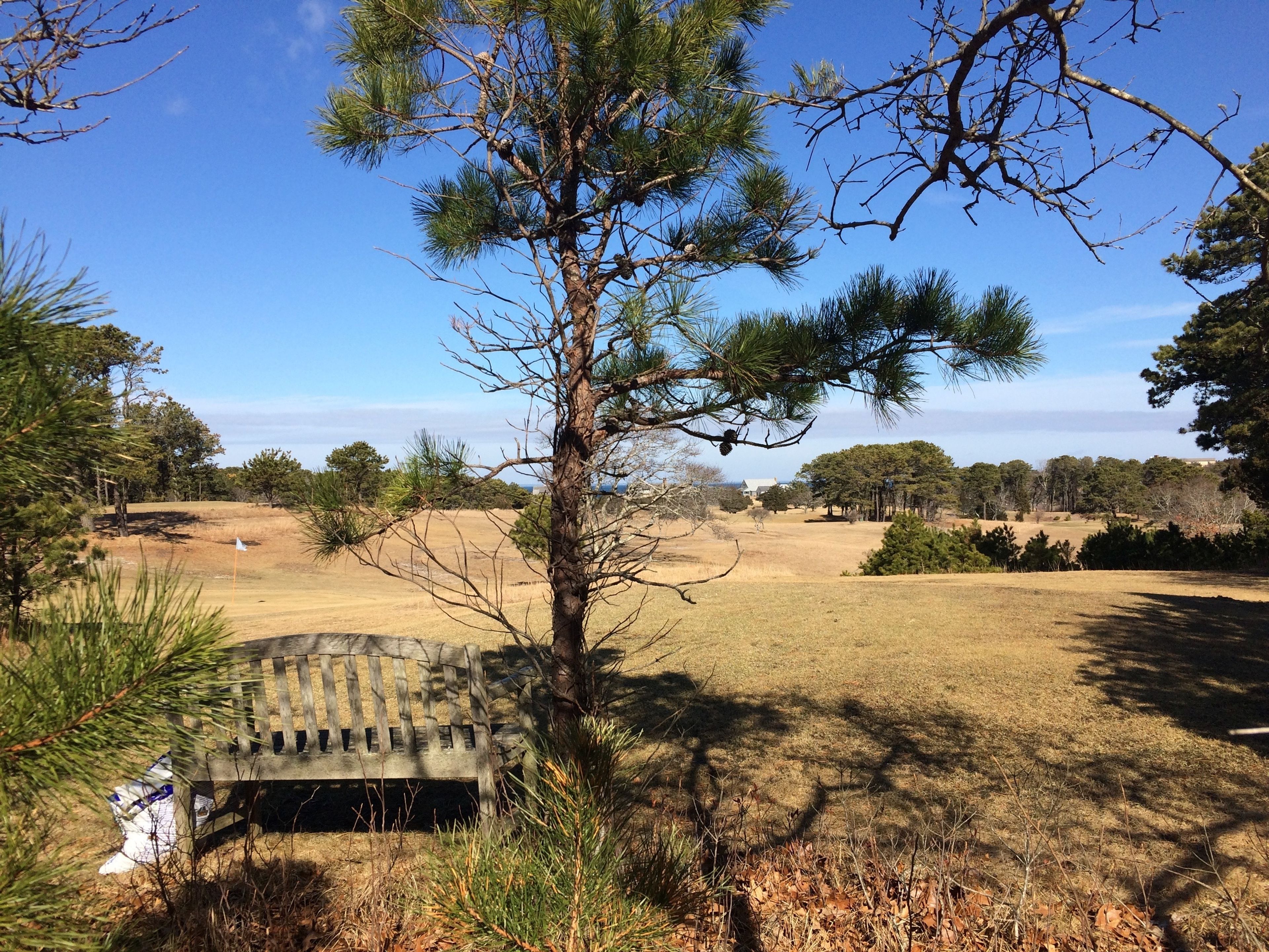 along edge of golf course