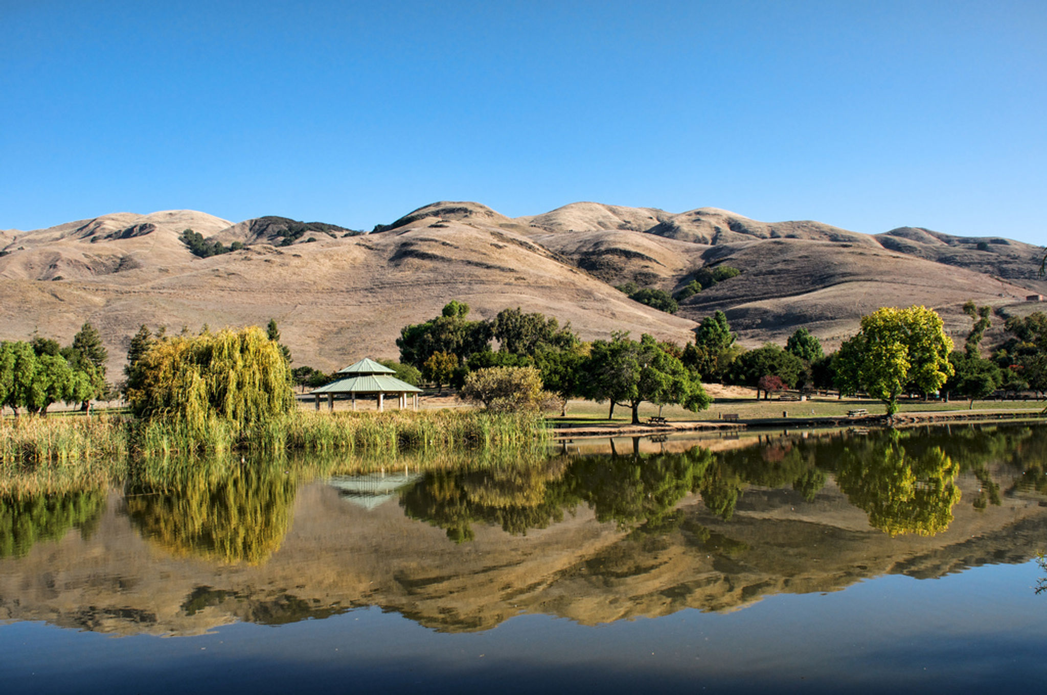 Reflections in Sandy Wool Lake