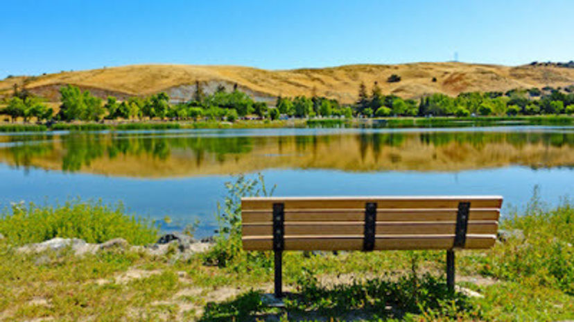 Hellyer County Park (Winter): Take a Gander at these Geese! — Santa Clara  Valley Audubon Society