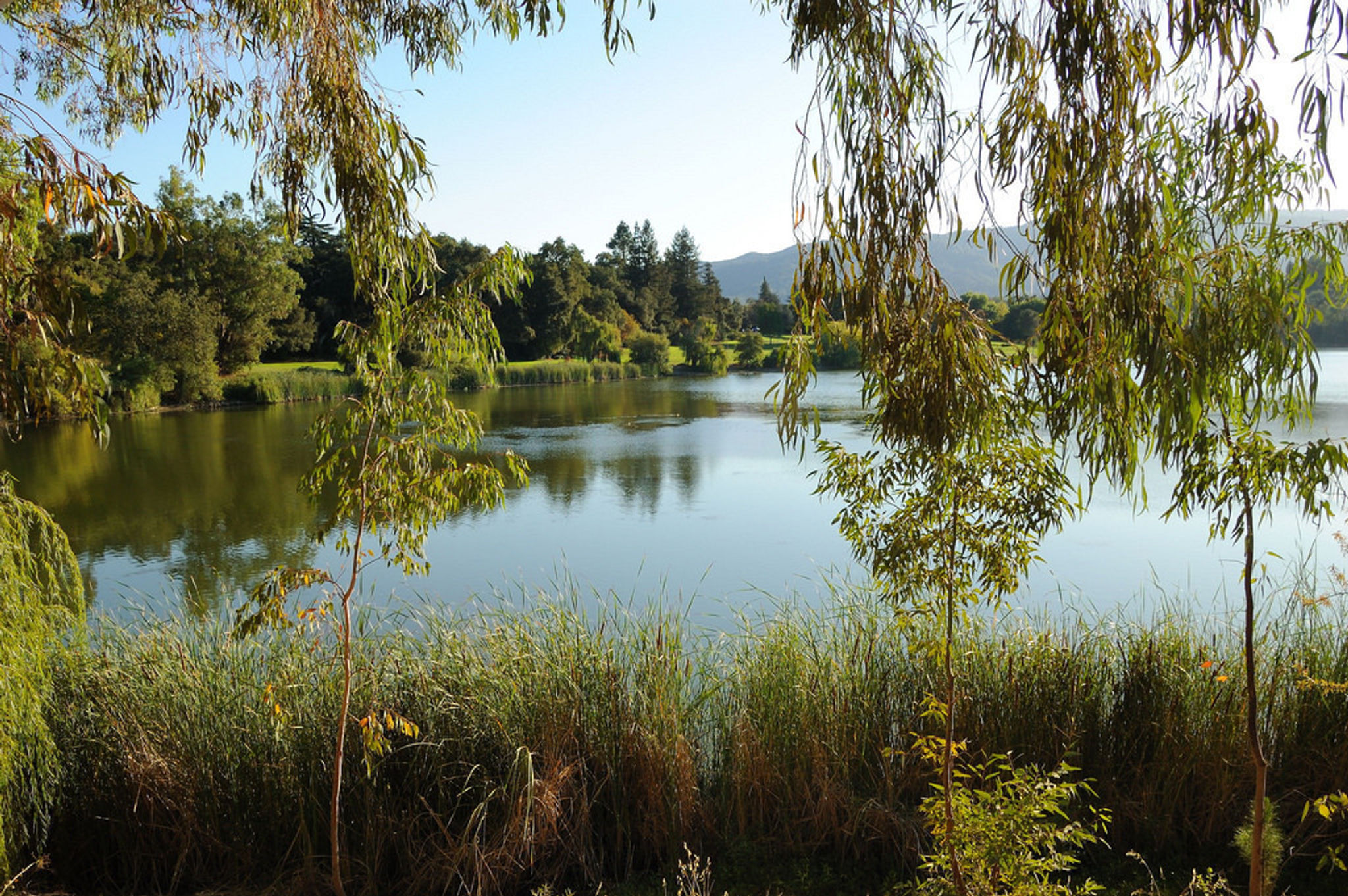 Photo taken from the Los Gatos Creek Trail in Vasona Lake County Park