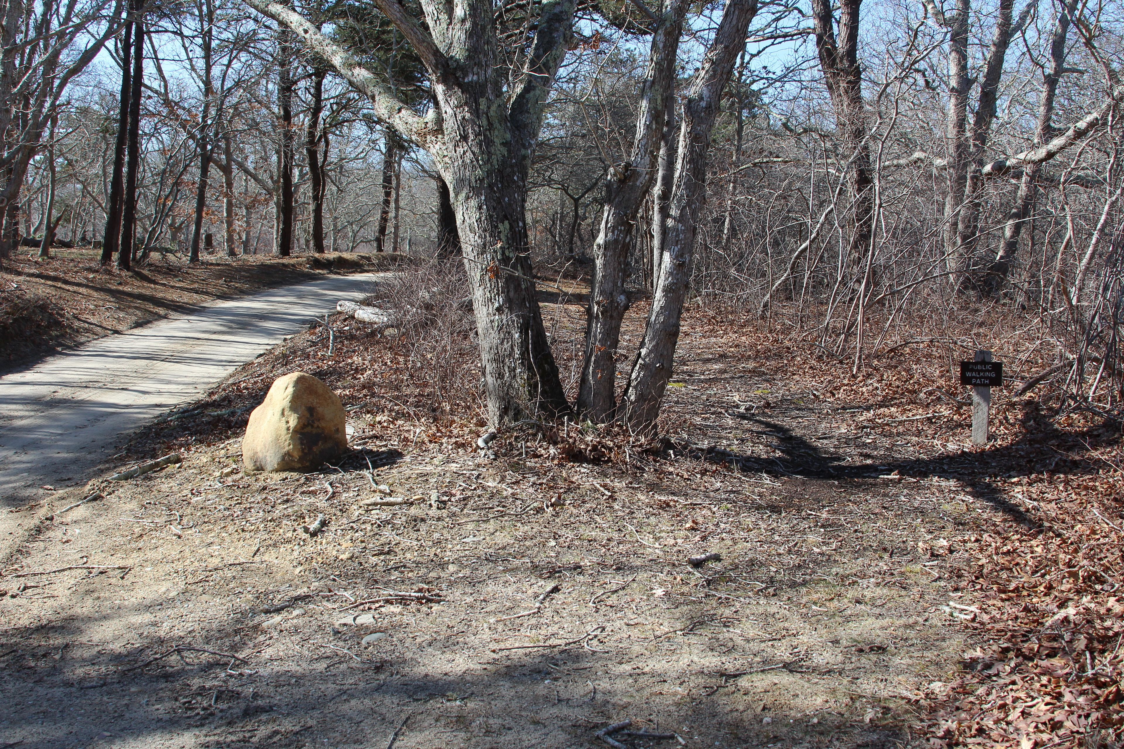 trail near intersection with Chappaquiddick Road