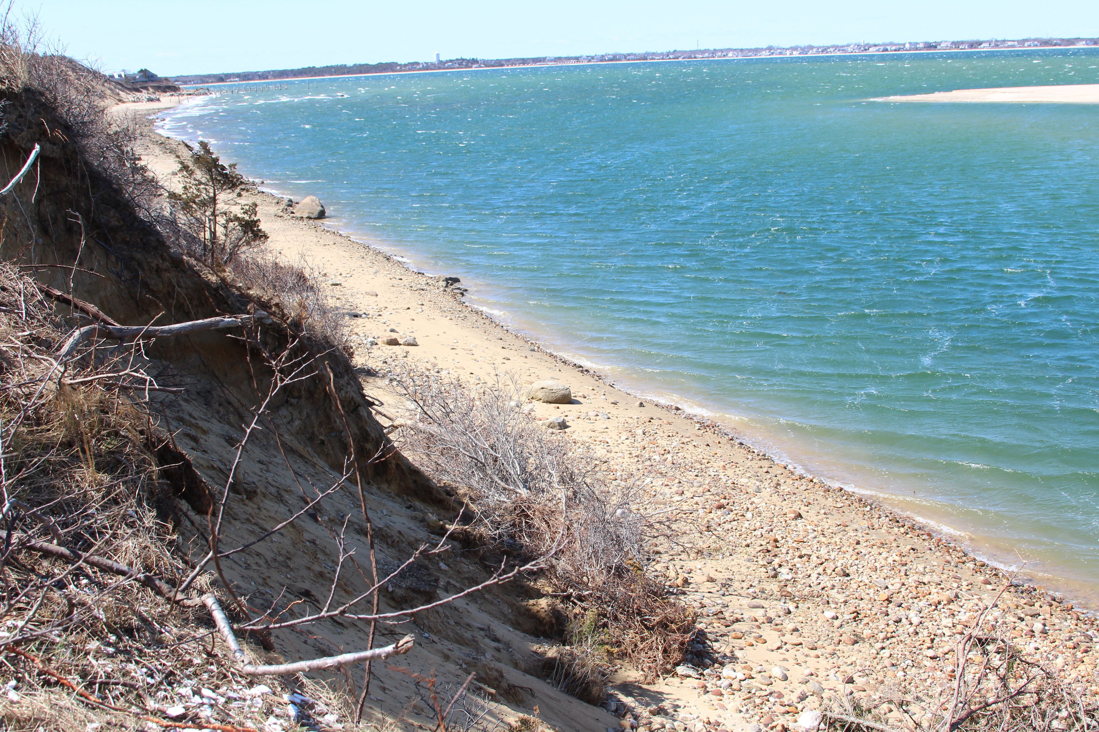 shore along Cape Poge Gut