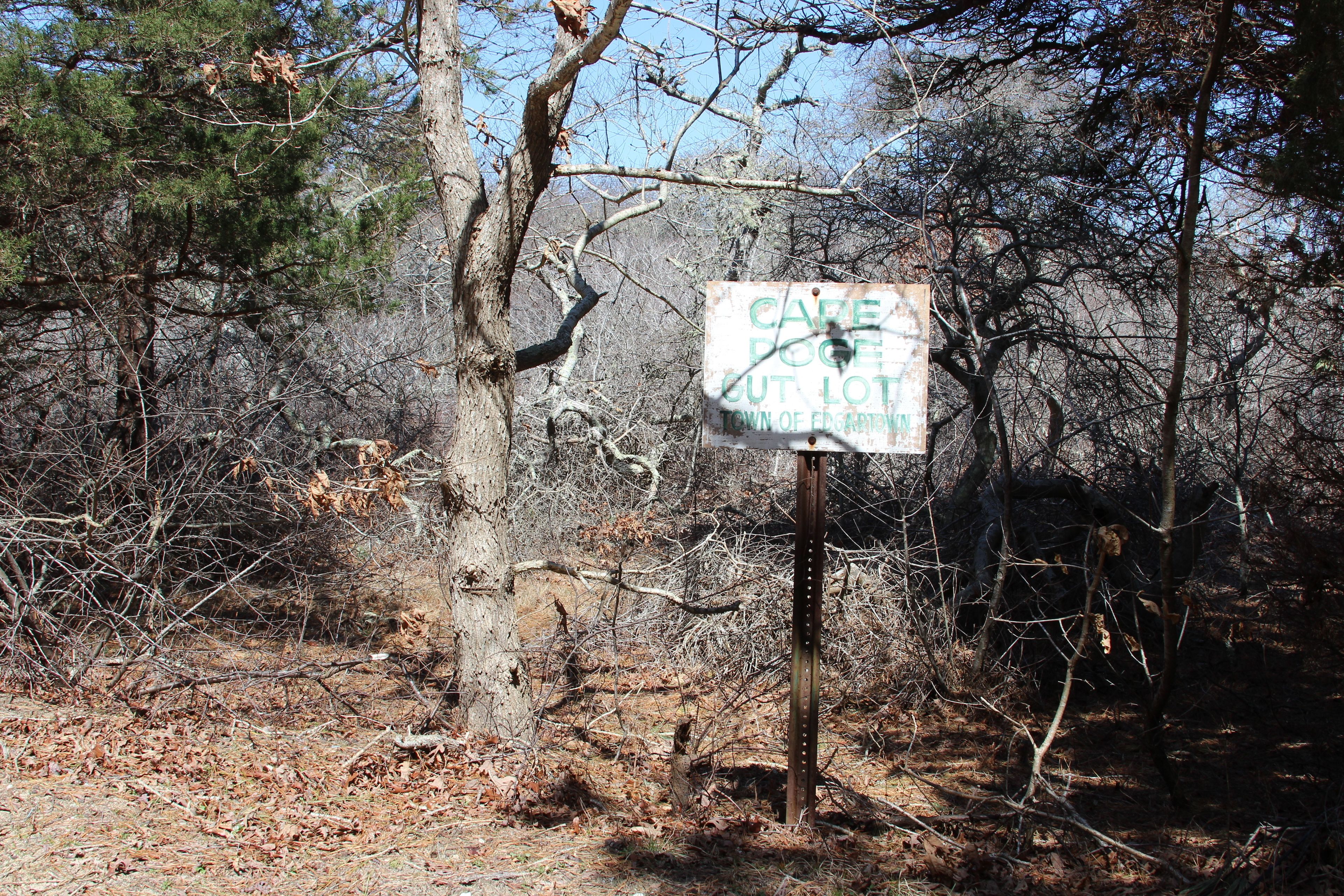 Town Parking lot entrance