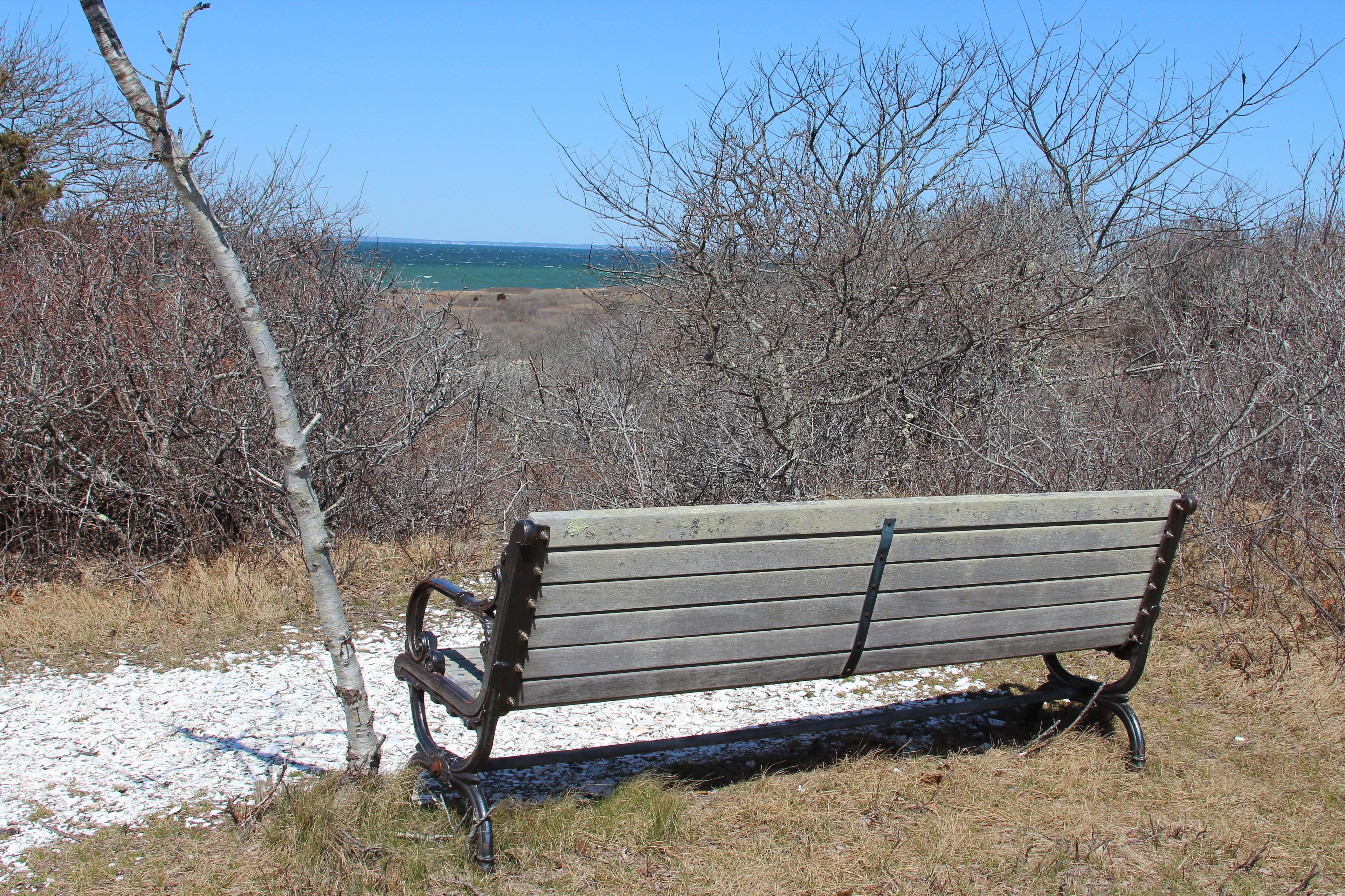 beach overlooking water on west end of trail