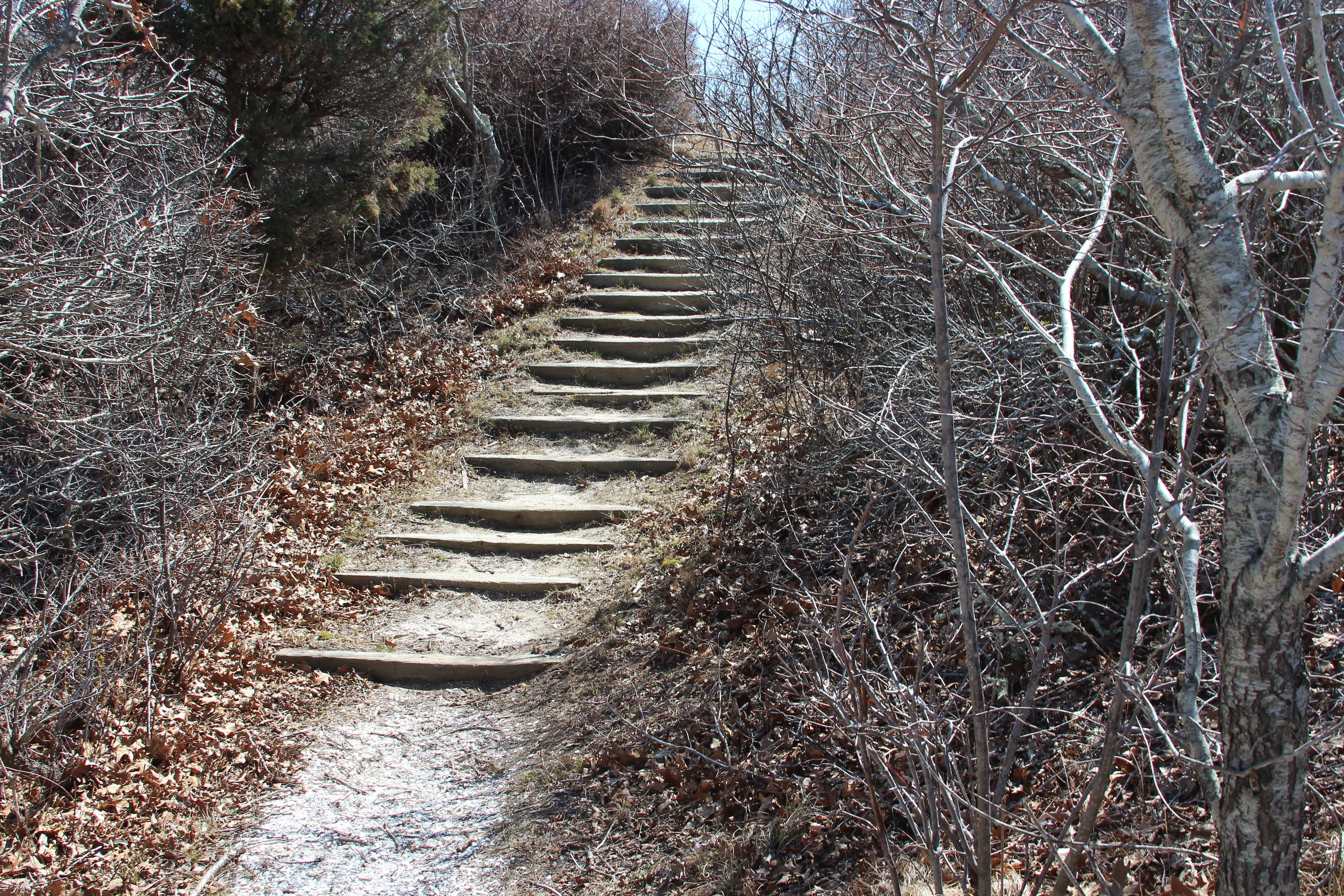 steps along west trail