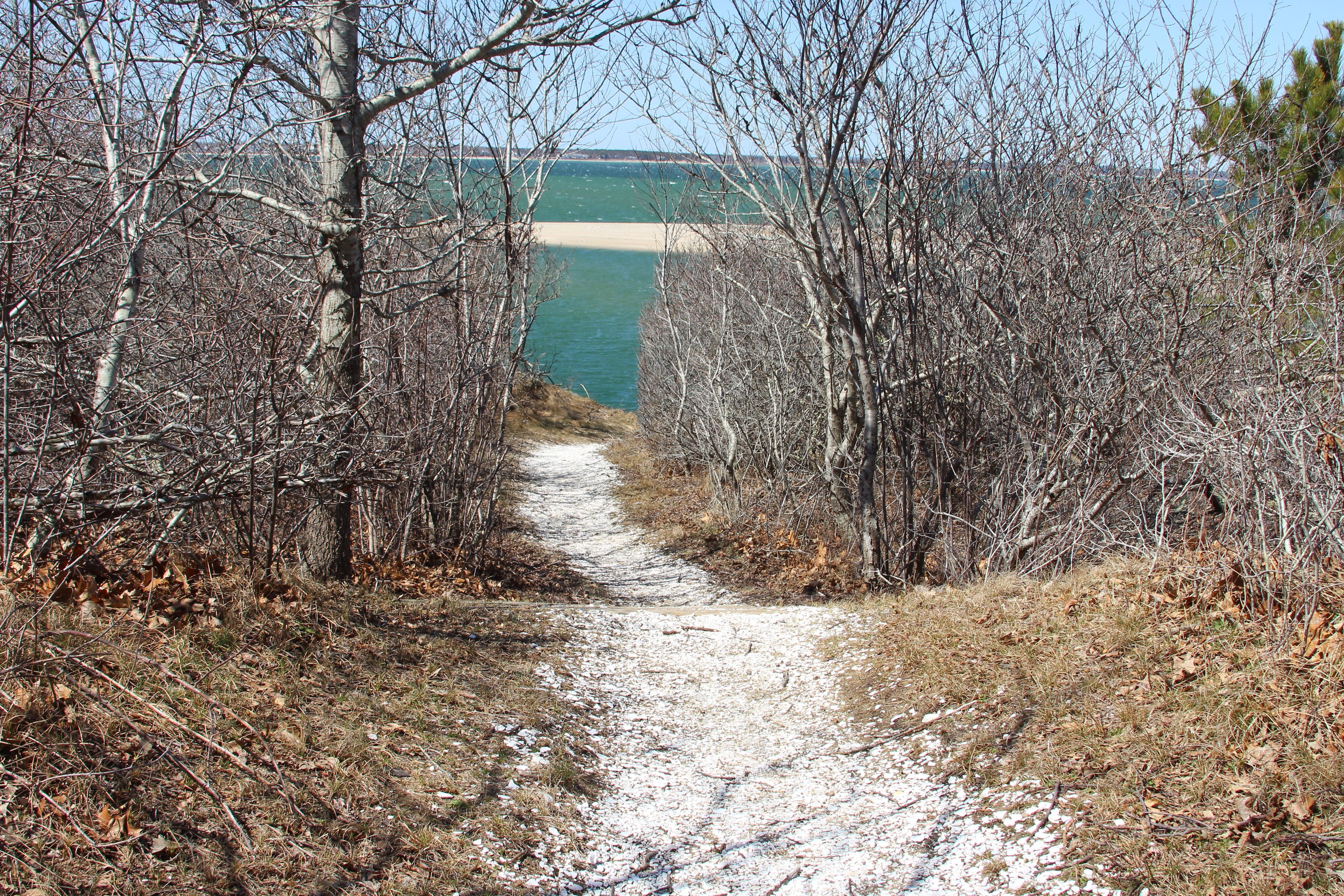 trail leading to stairs at Cape Poge Gut