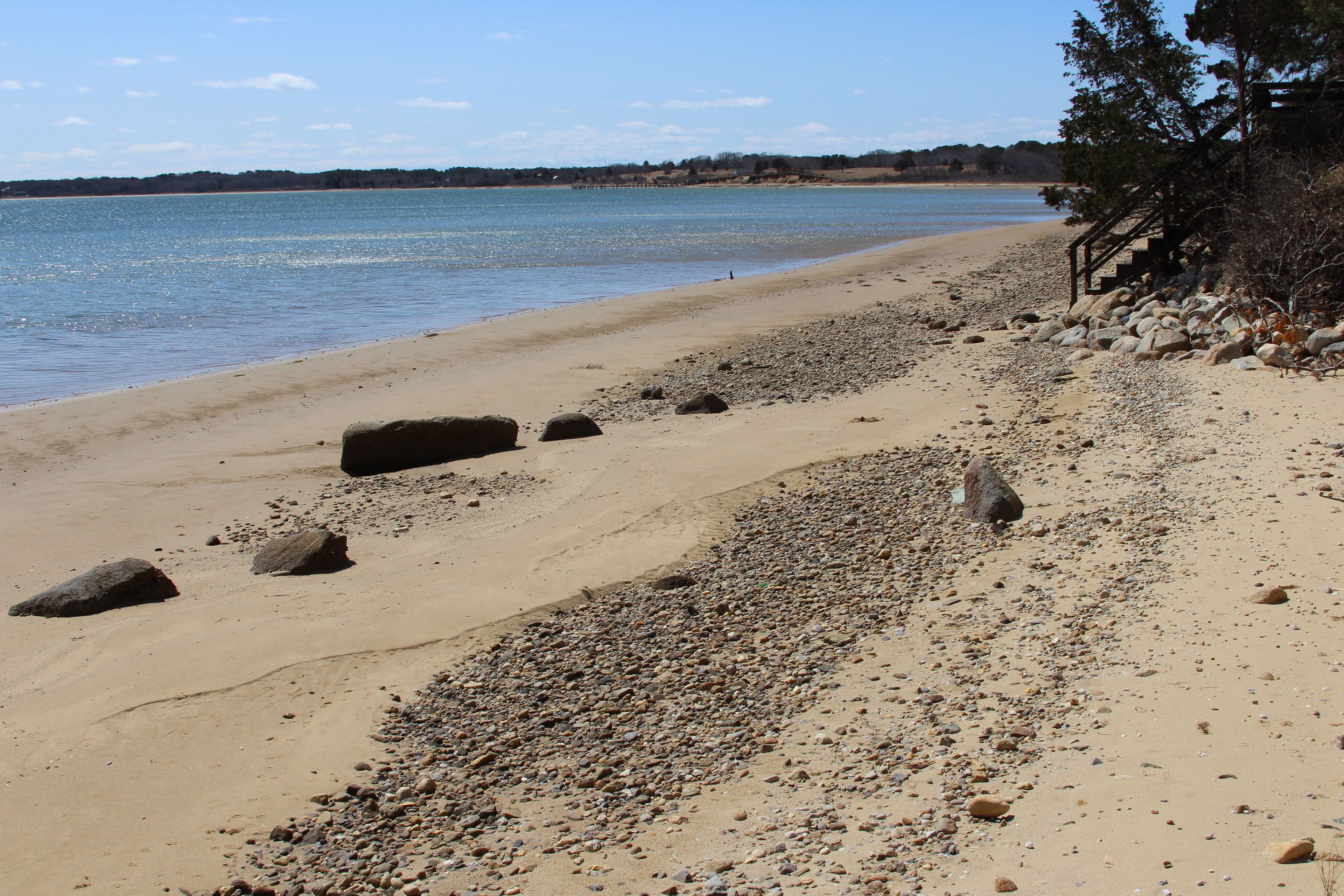 shore at Cape Poge Bay