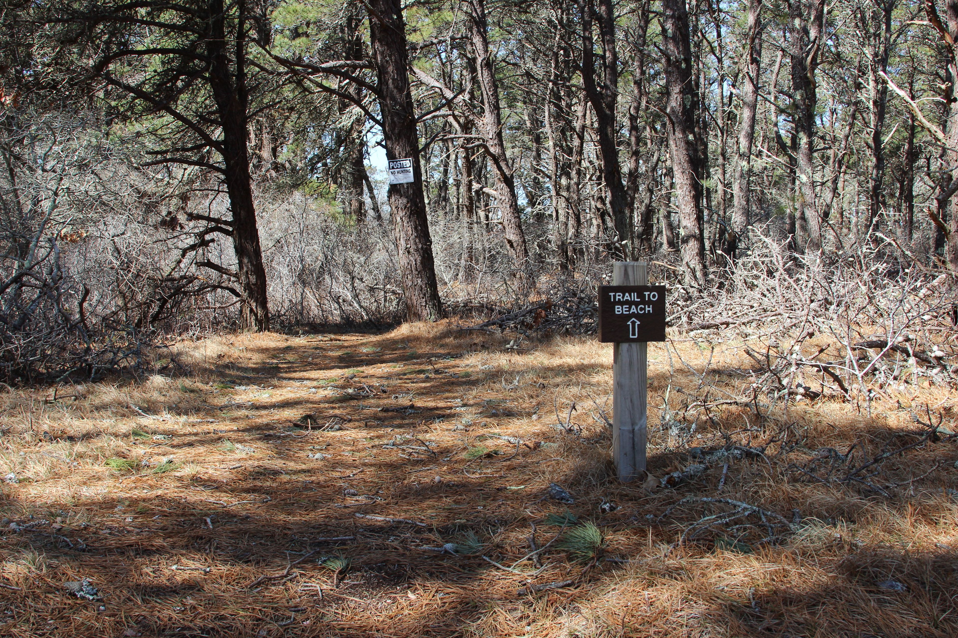 trail sign for CMP-1 at North Neck Road