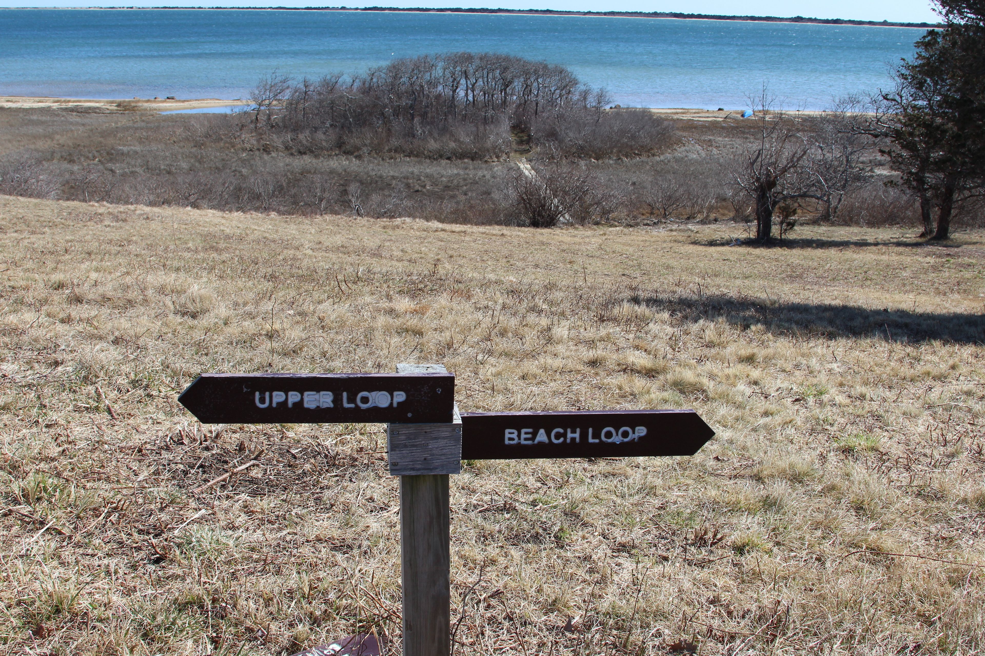 intersection of trail with CMP-8 leading to beach