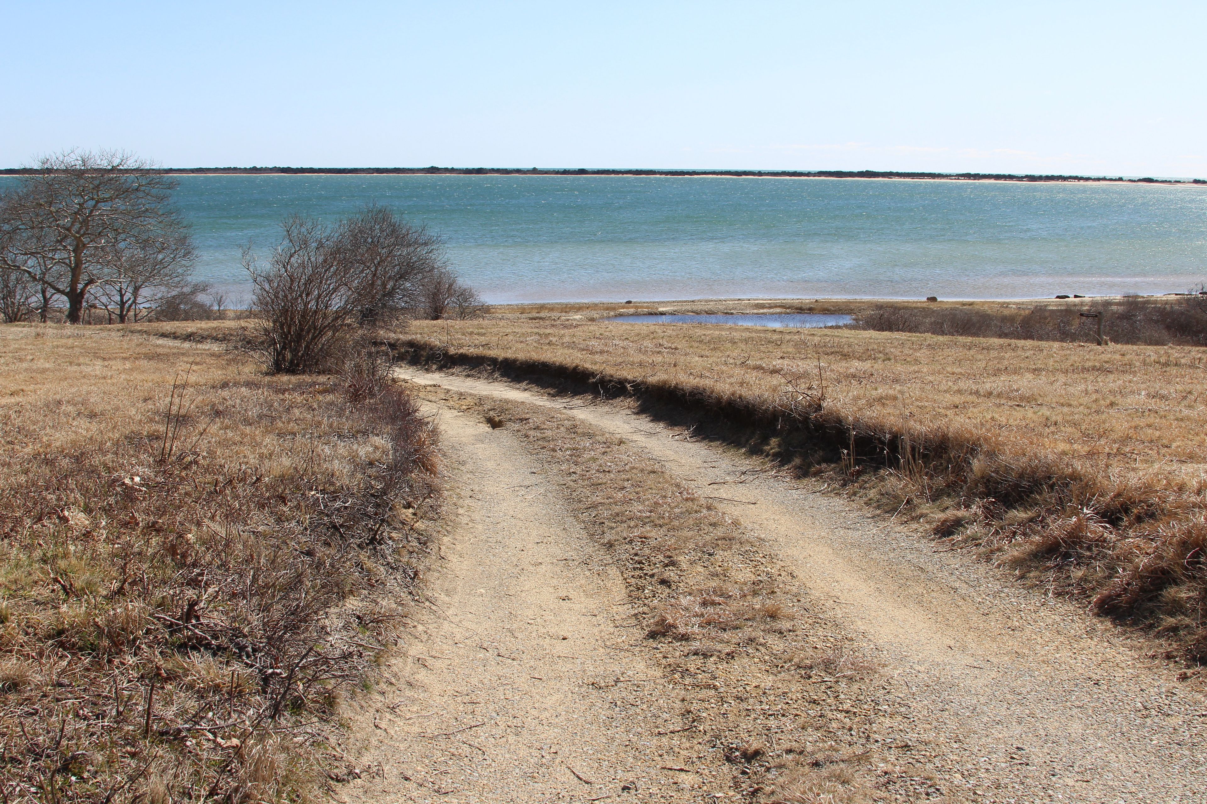 early spring view