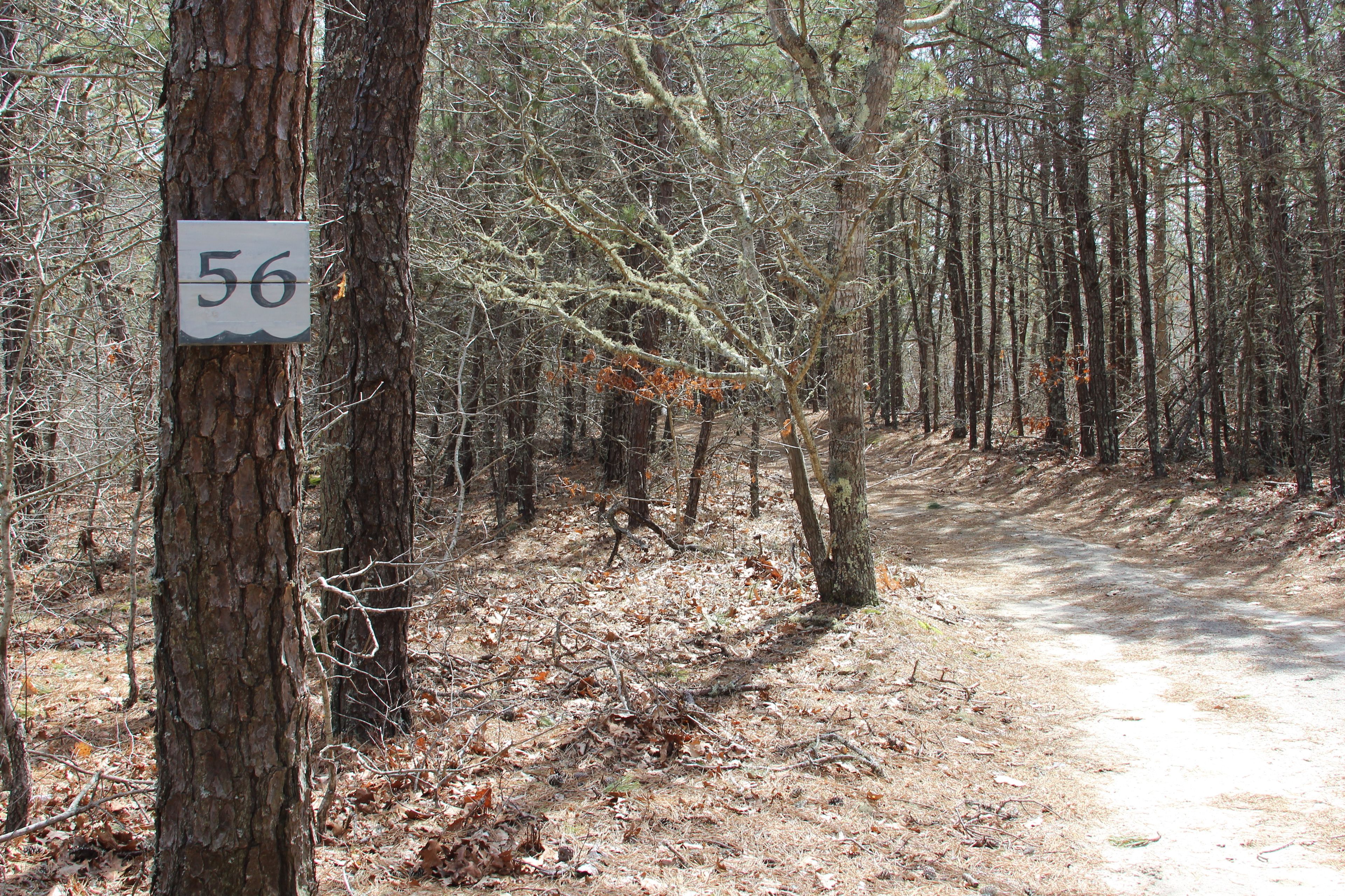 trail beginning off Dyke Road.