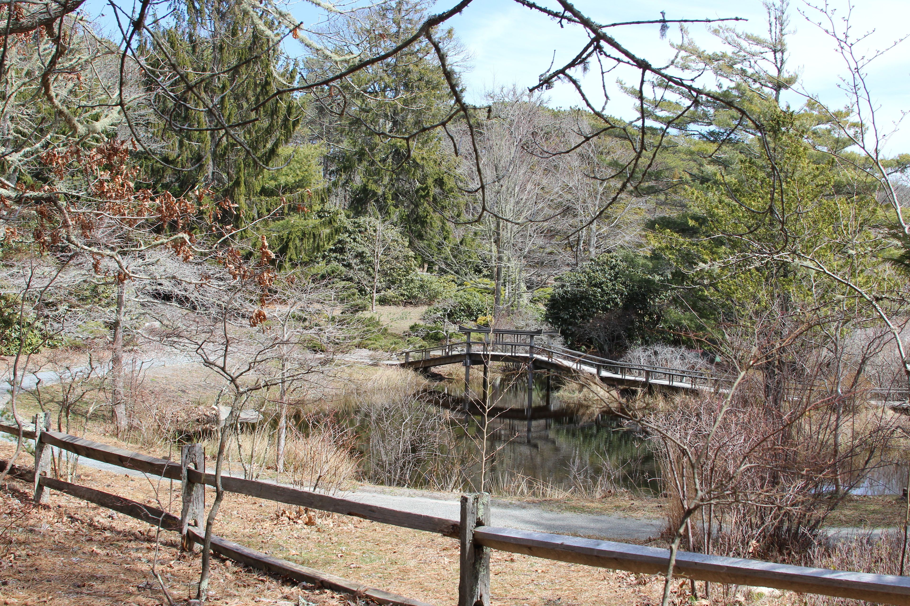 bridge as seen from Tom's Neck trail