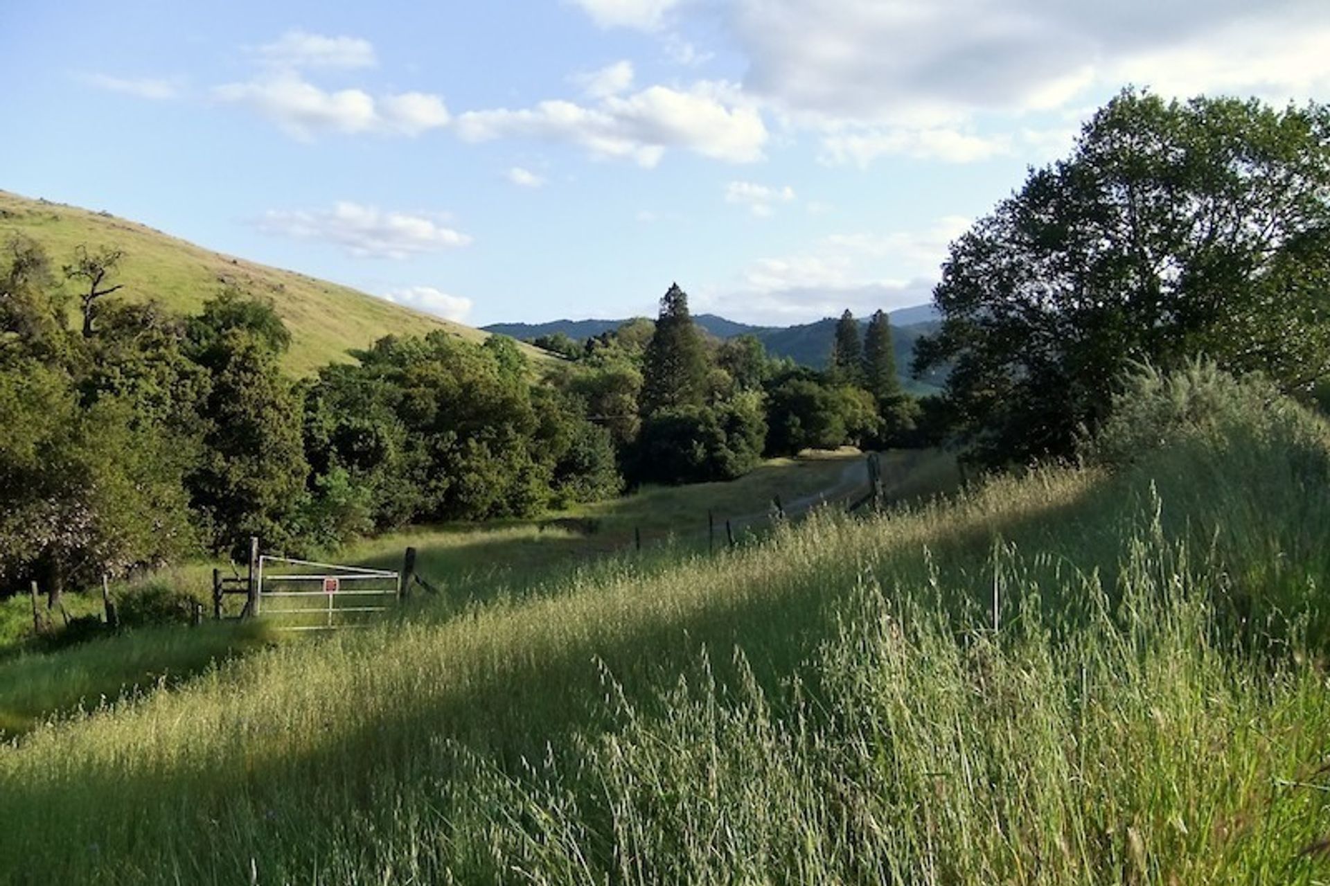 Scene from the Fortini Trail in Santa Teresa County Park, San Jose, California, USA.