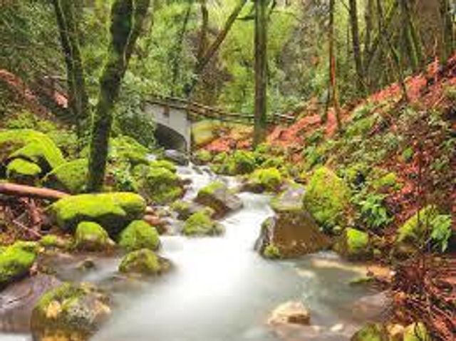 uvas_canyon.jpeg