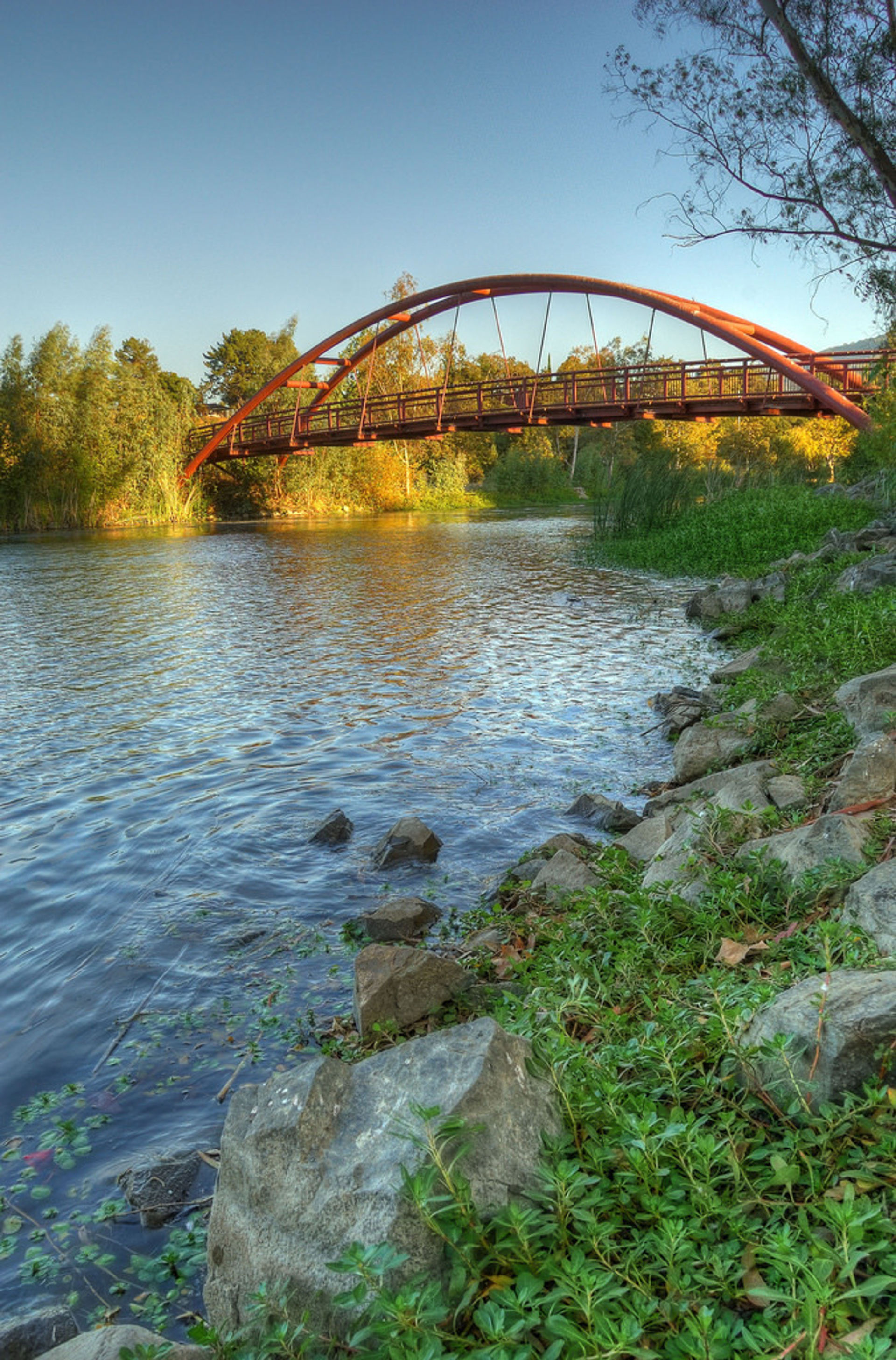 Foot bridge over Vasona Lake