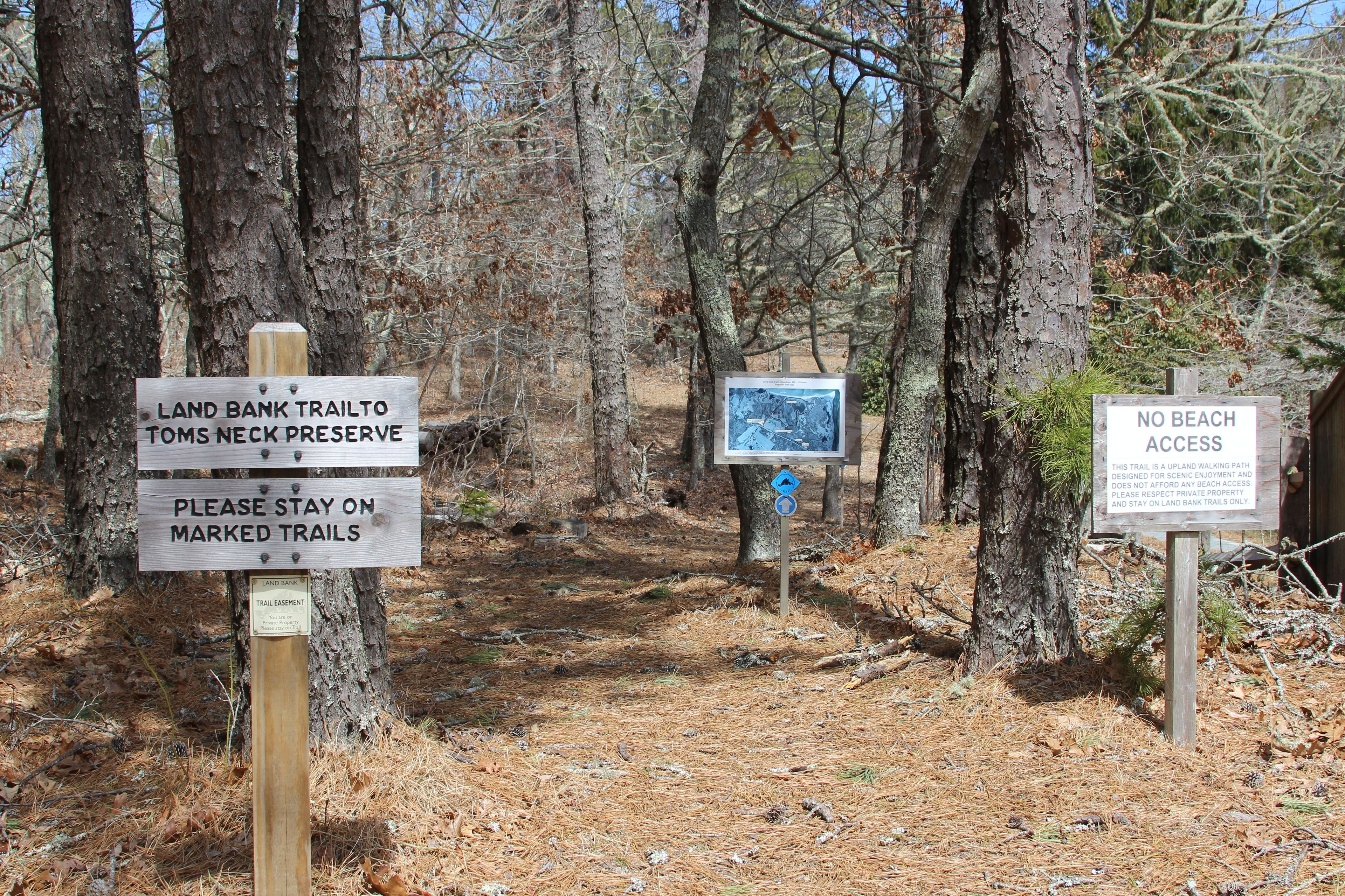 trailhead at Dyke Road