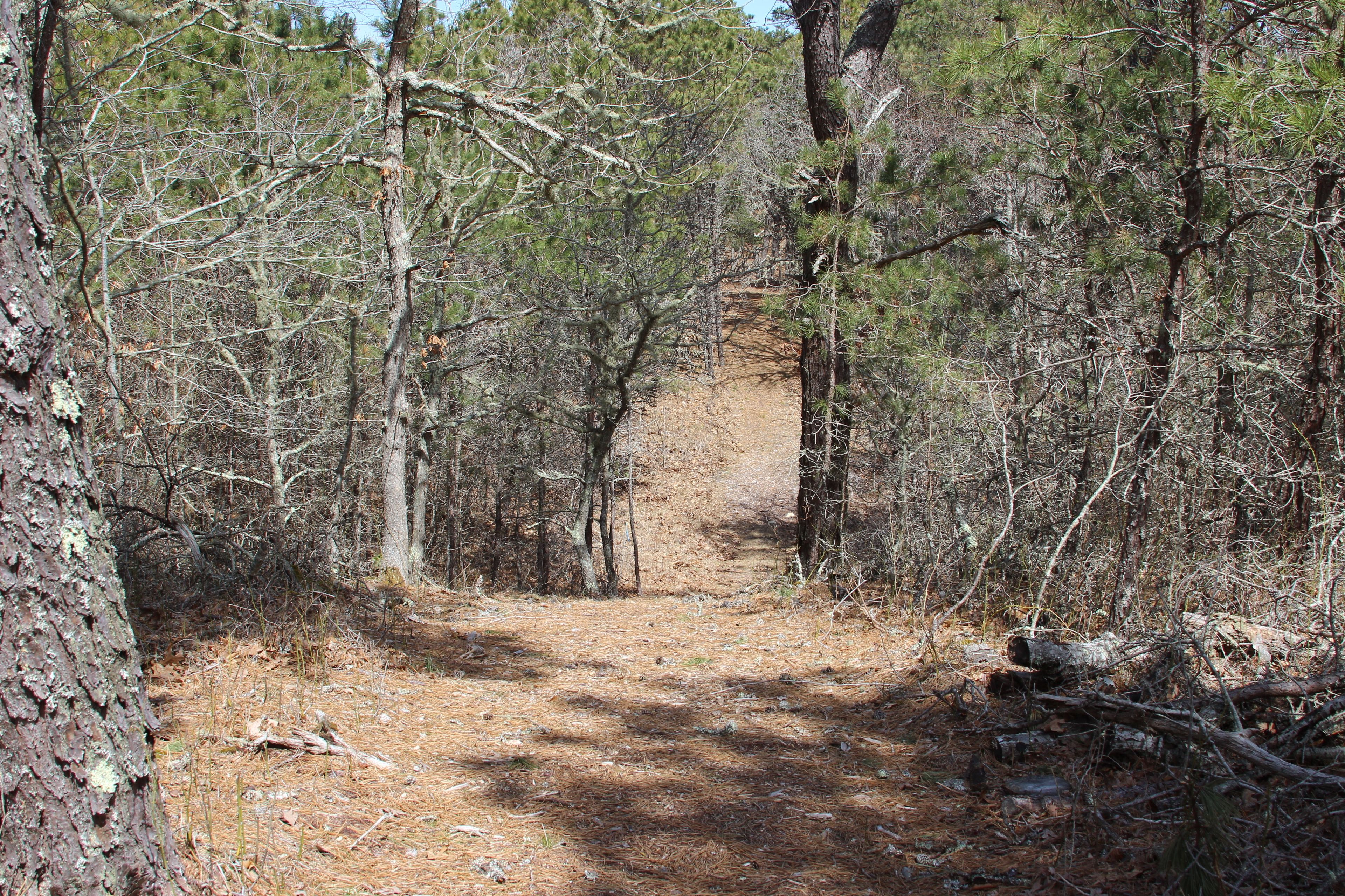 trail goes up and down