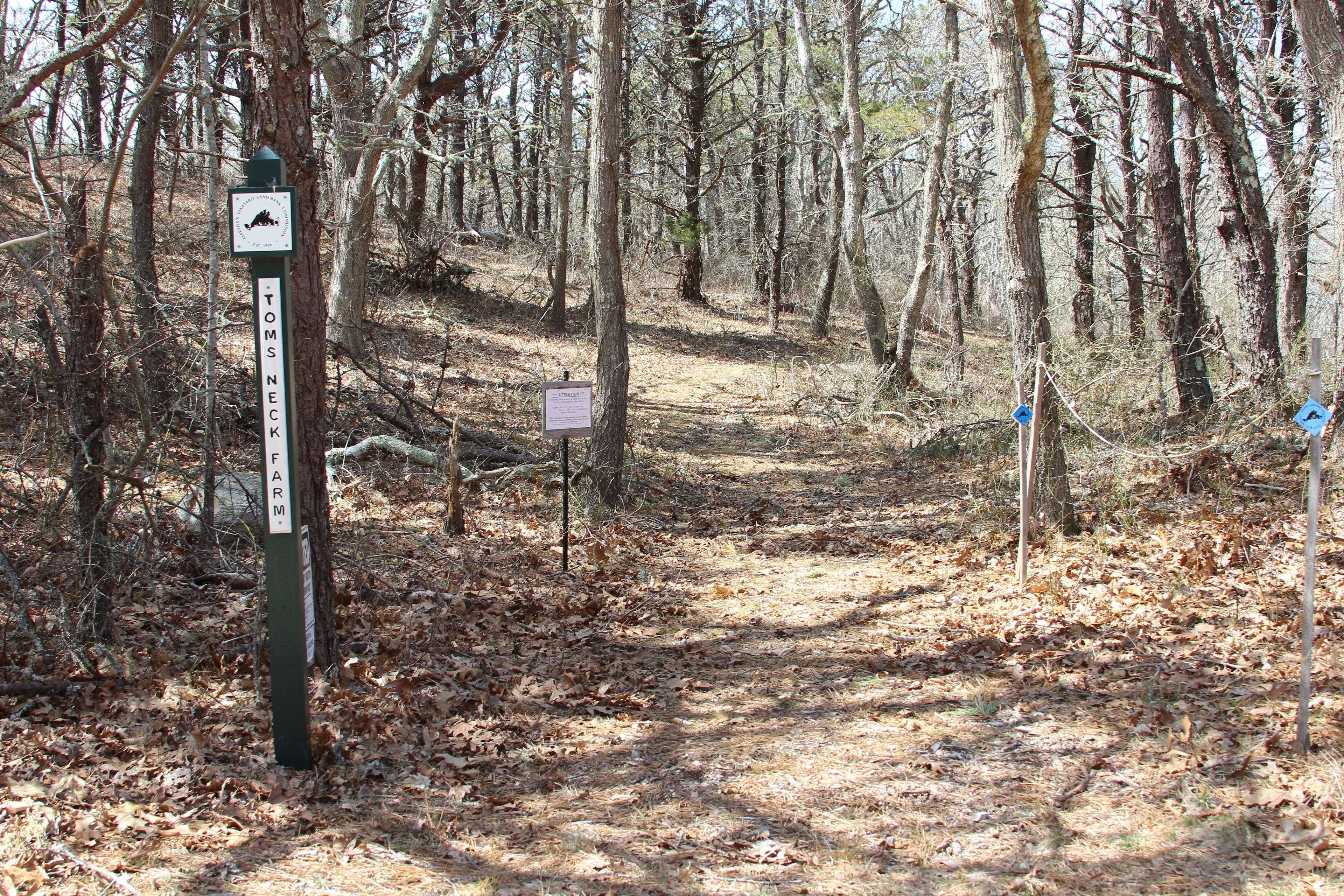 follow blue trail signs