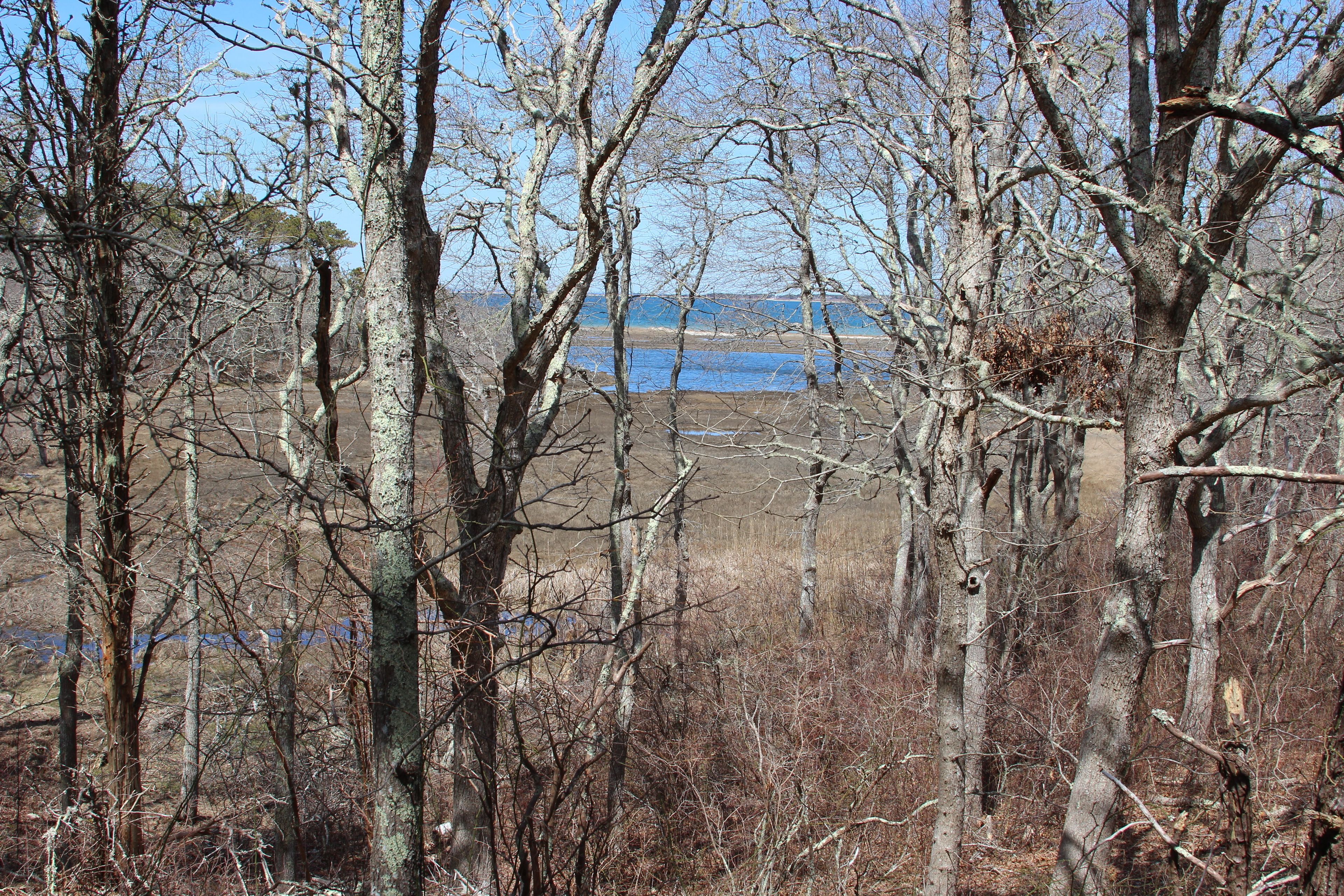 view of Pease Pond