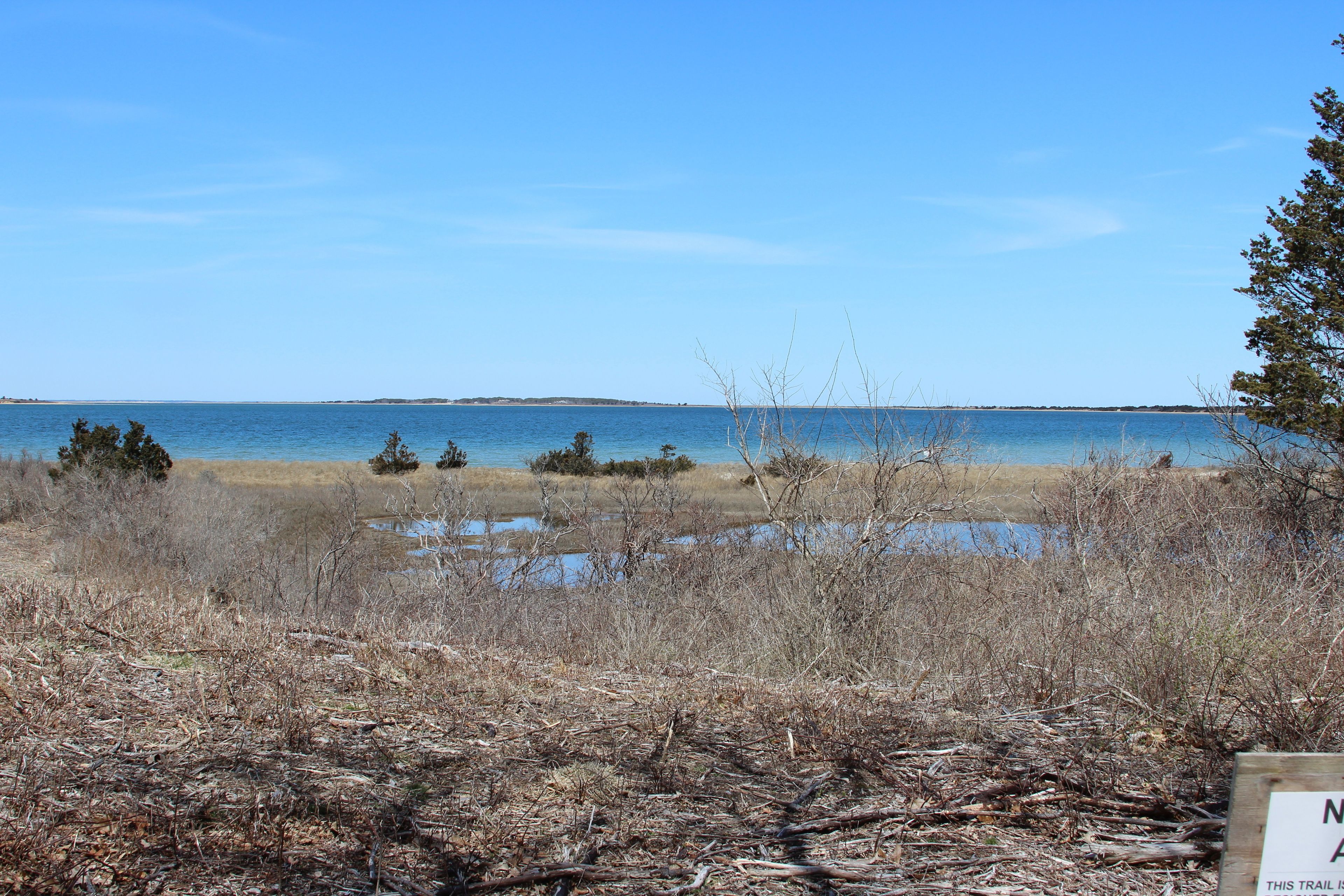 view to Cape Poge Bay