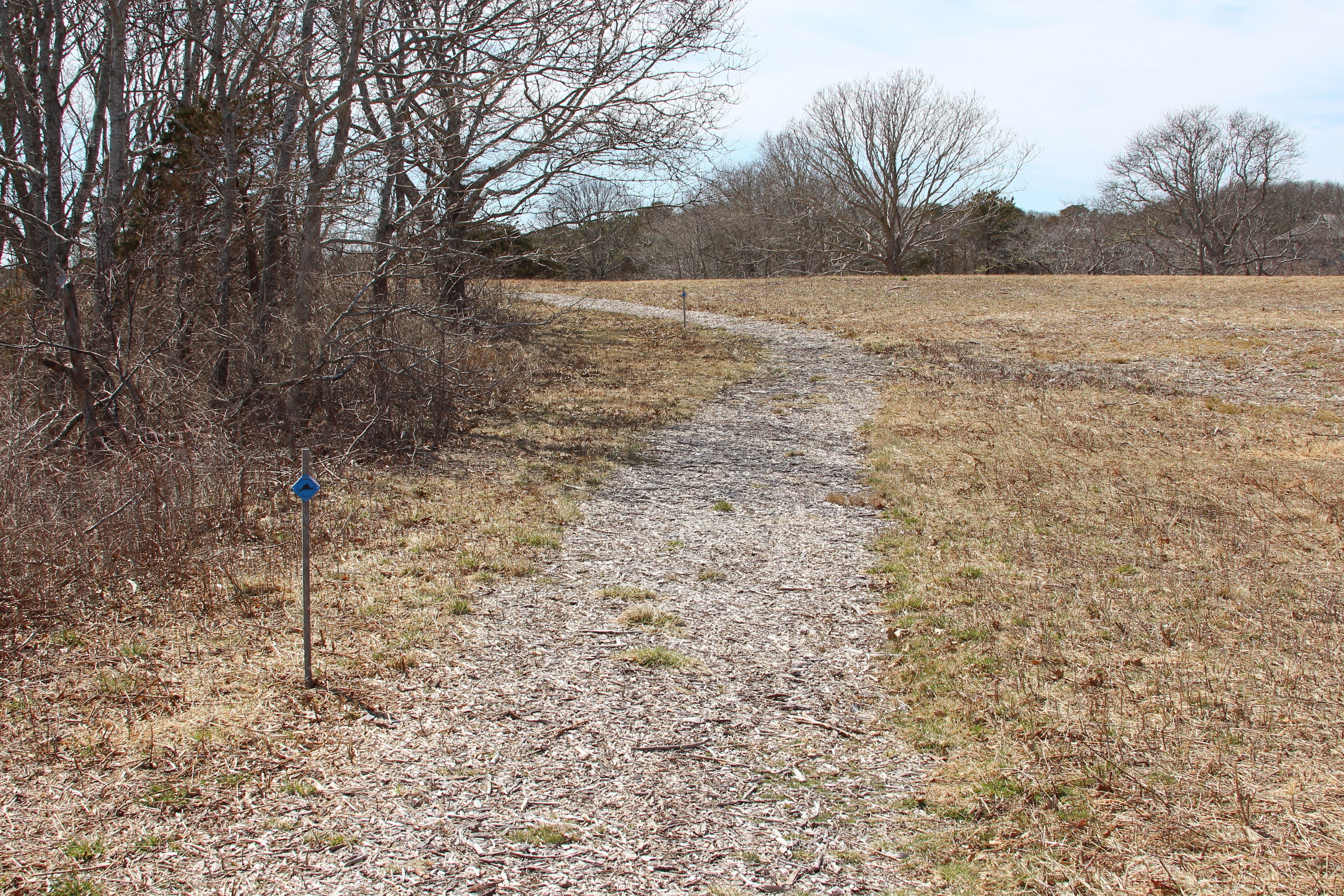 path entering field