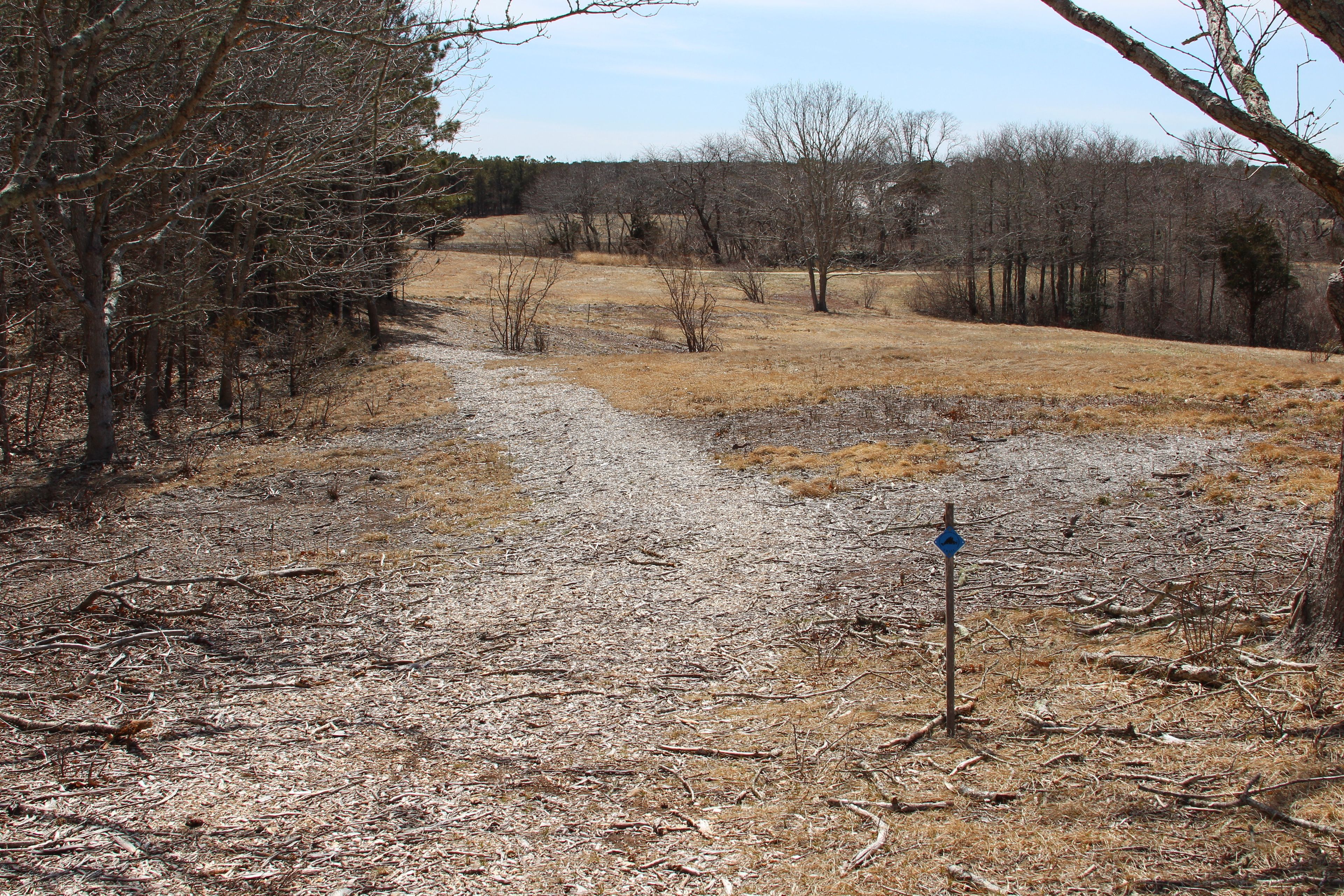 field path