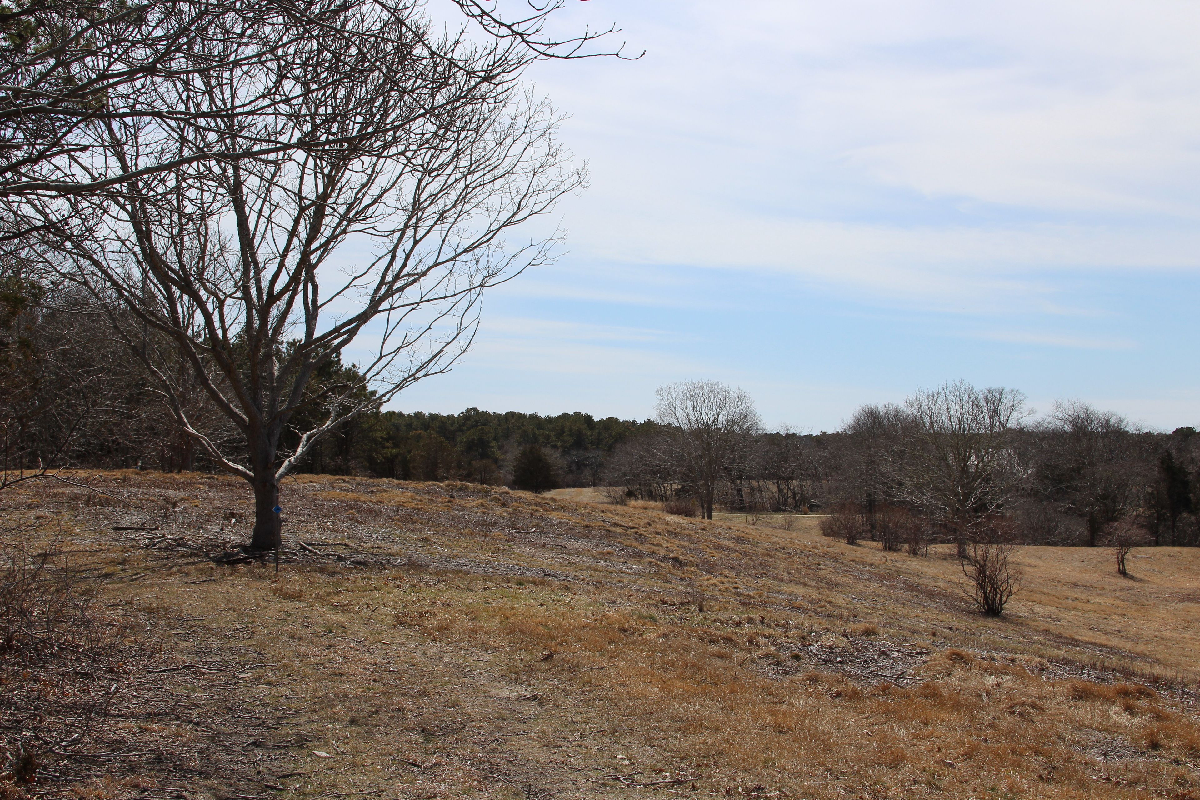 field view