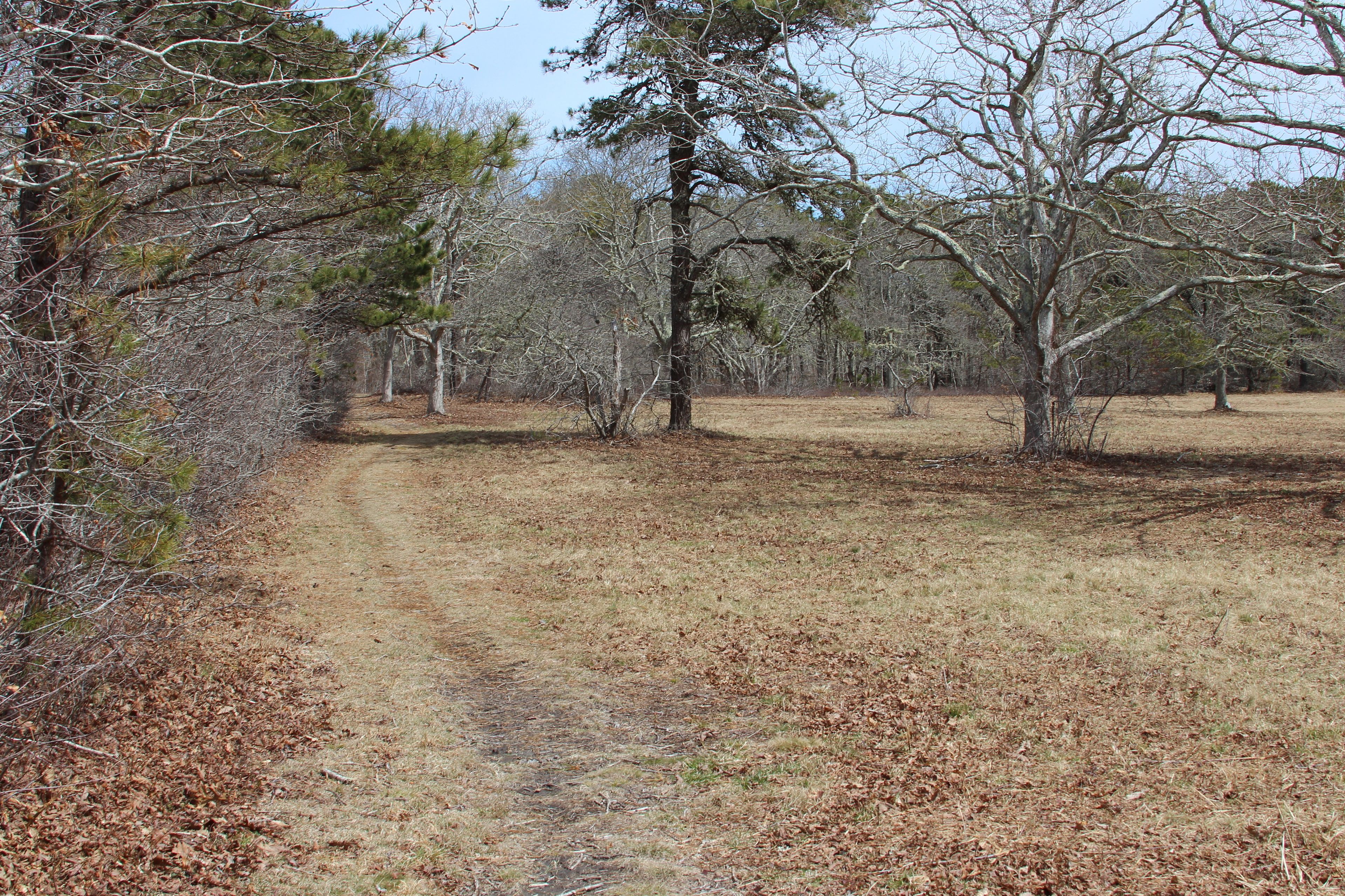 path along field