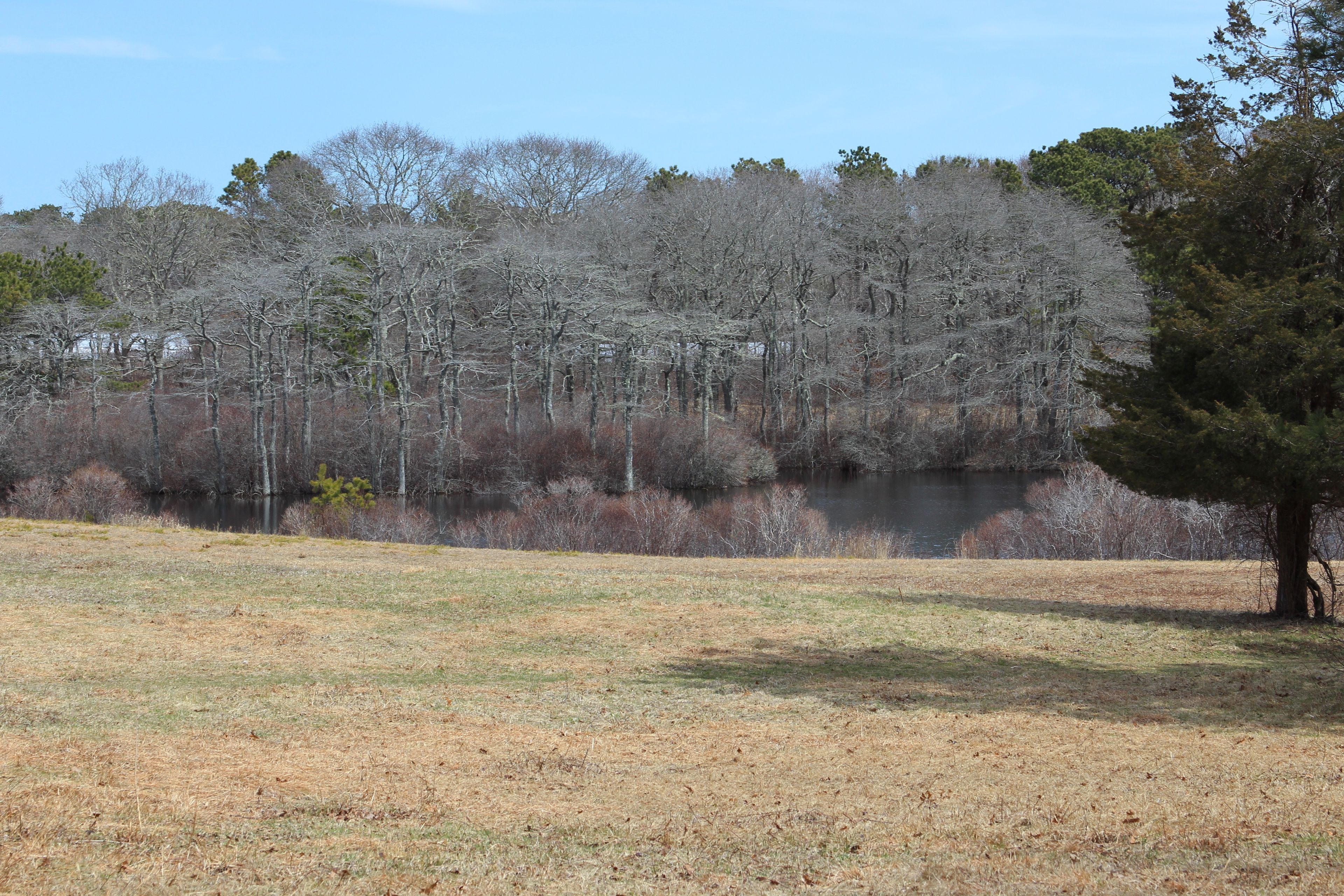 view to Brine's Pond at one end of trail