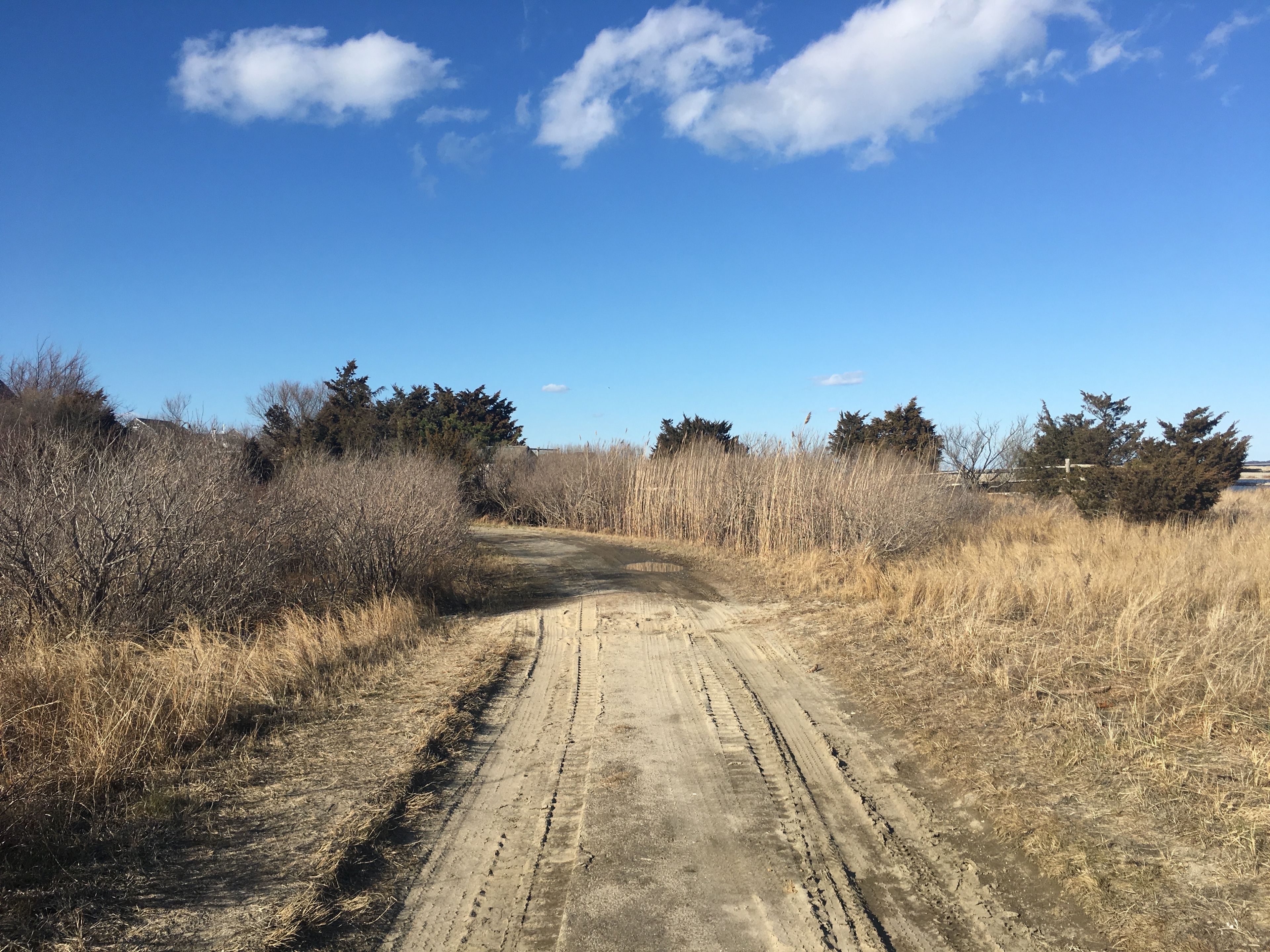 sandy trail