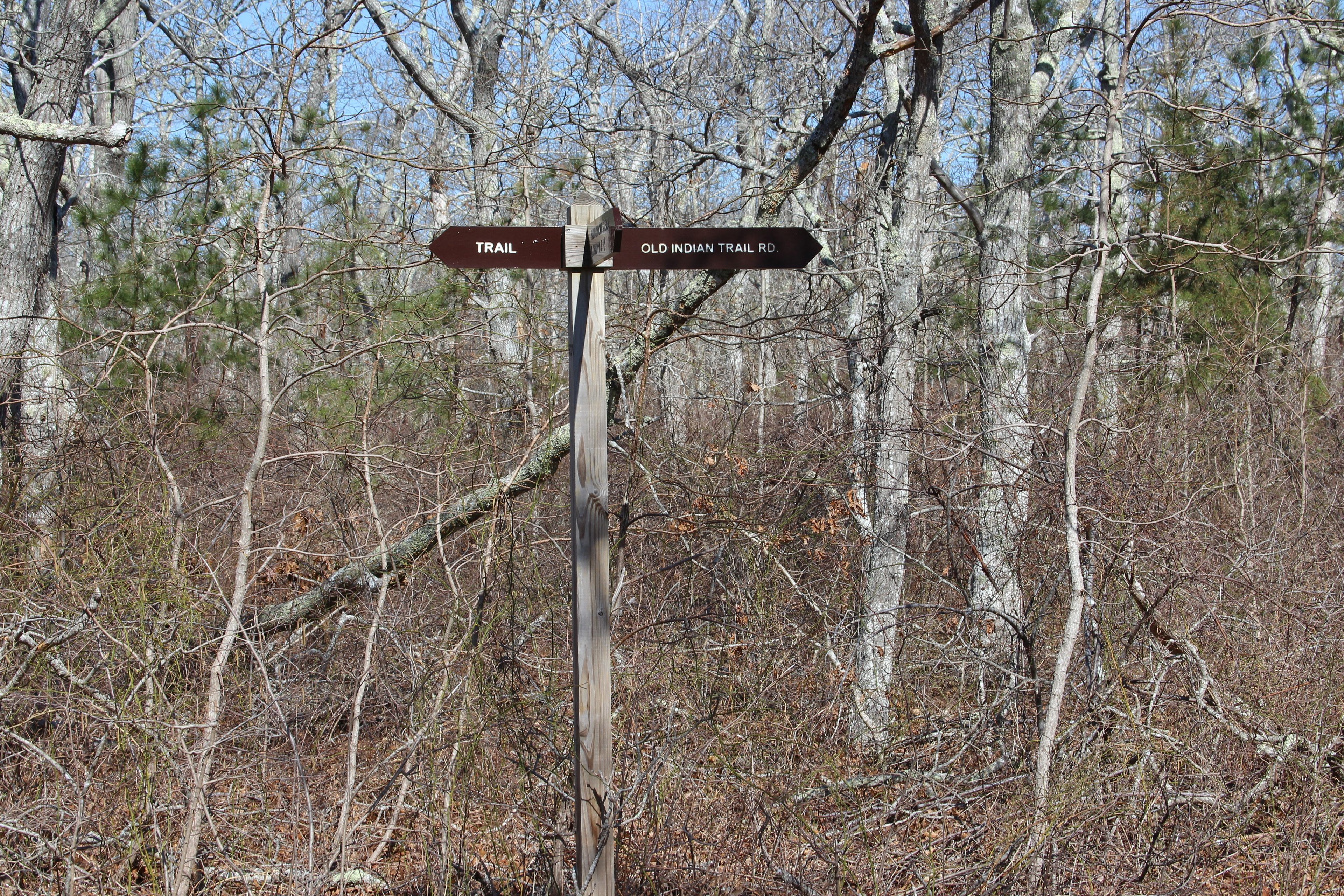 at intersection with green trail loop