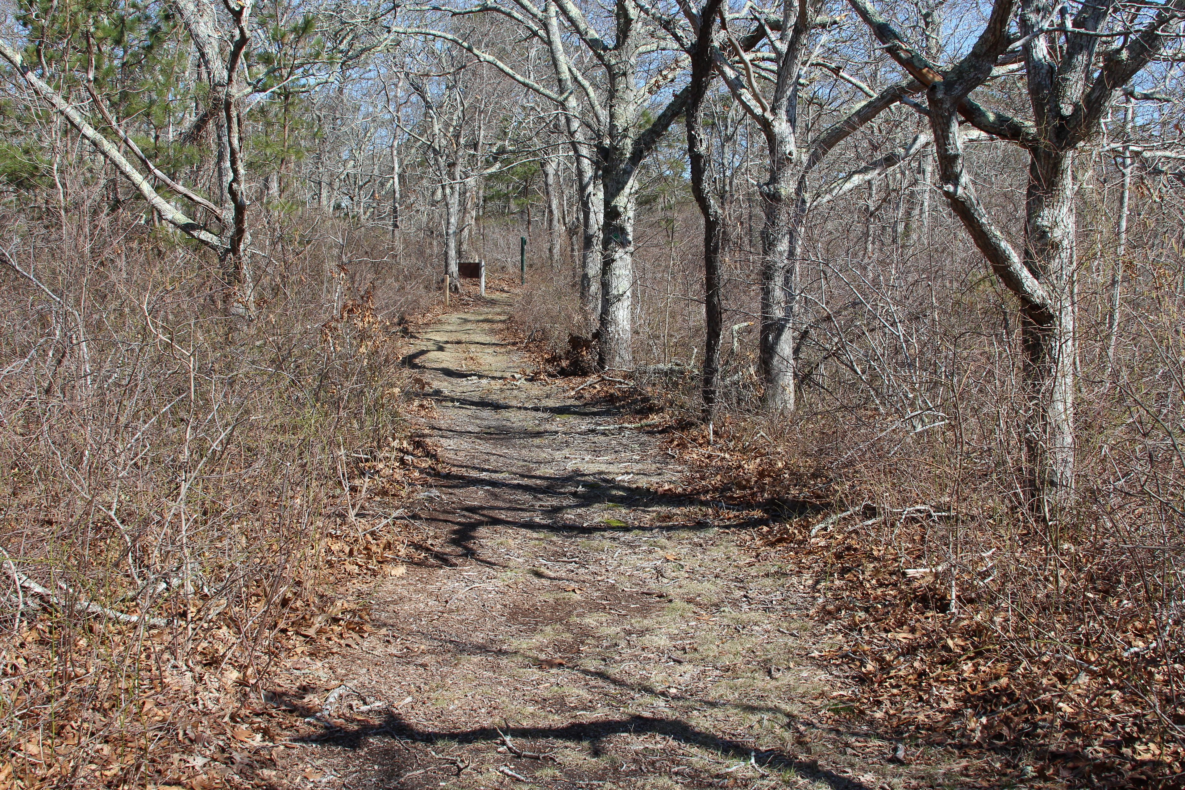 woods trail leading to Old Indian Trail