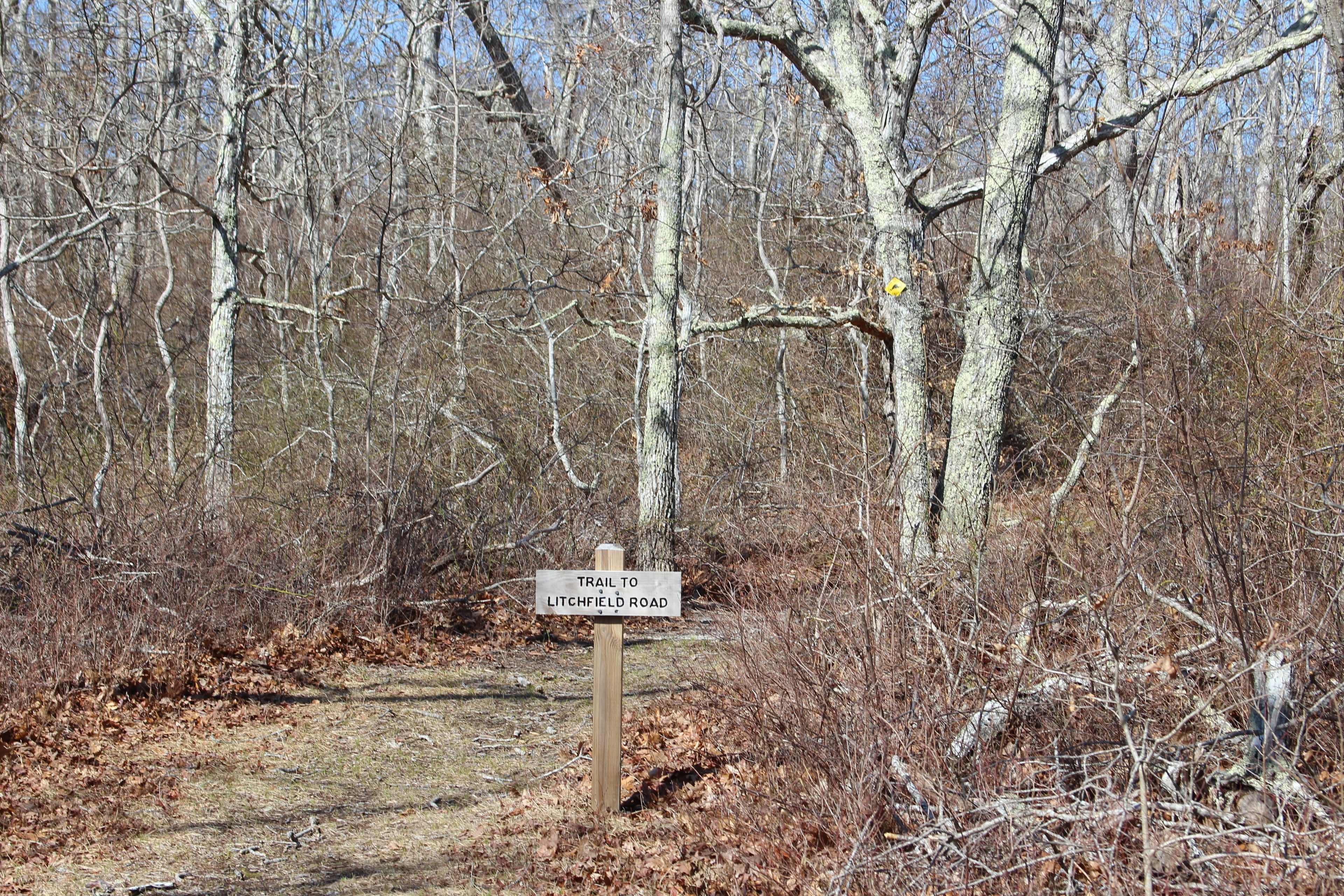 beginning of trail near Old Indian Trail