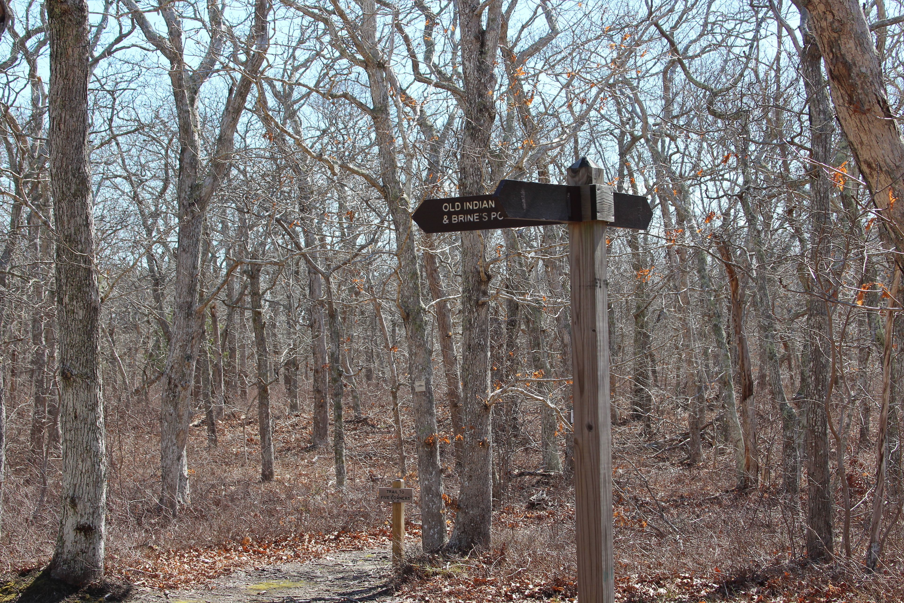 at intersection with Yellow Trail (TPR-16)