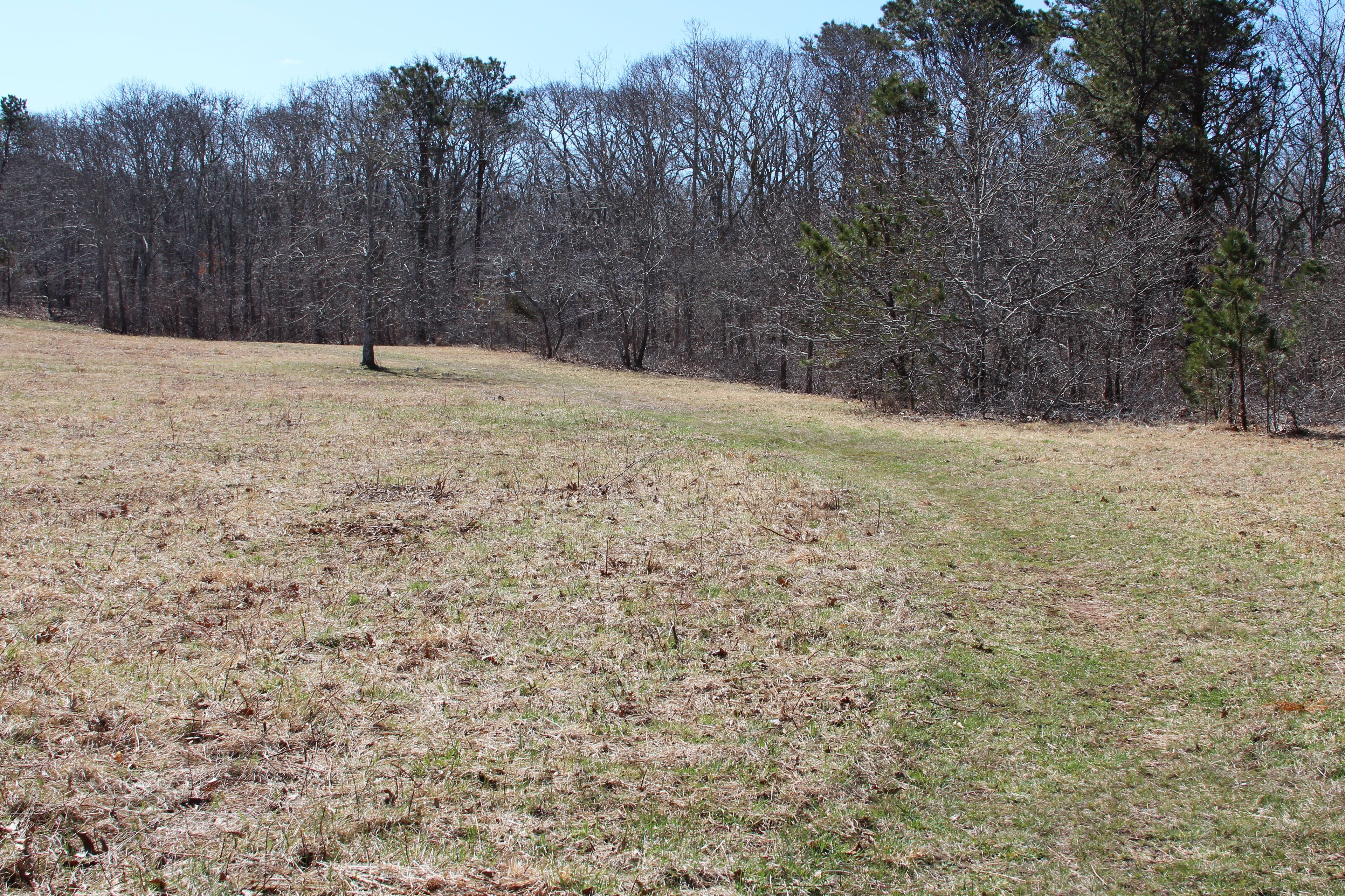 field path