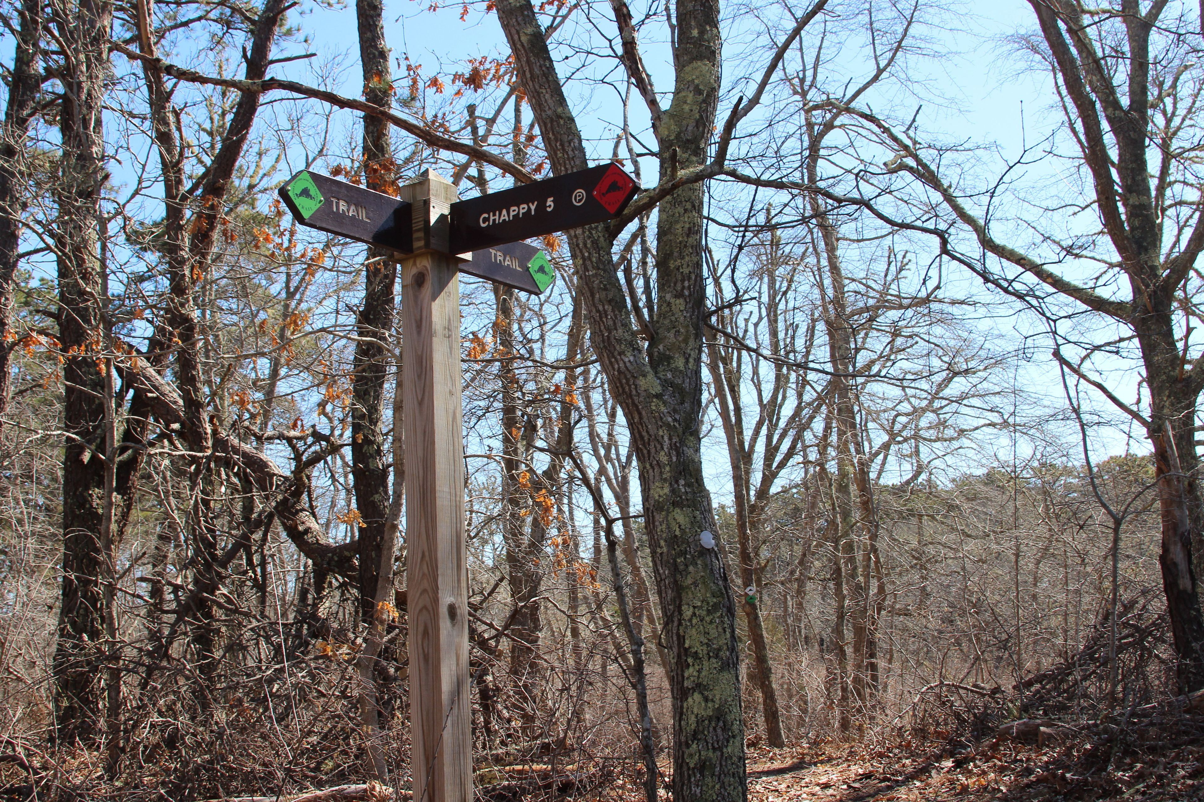 at intersection with Cross Chappy trail