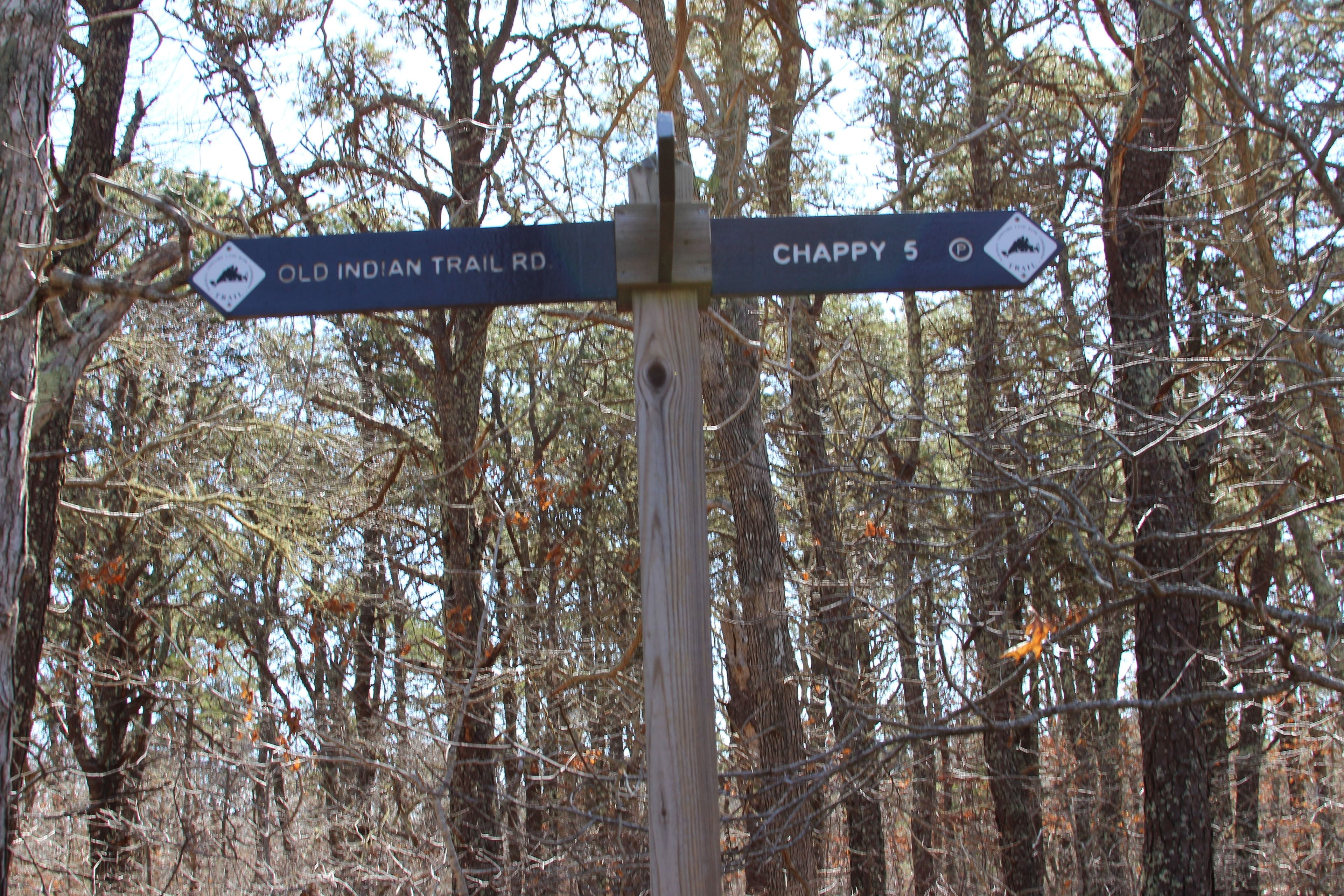 at intersection with Green-White trail