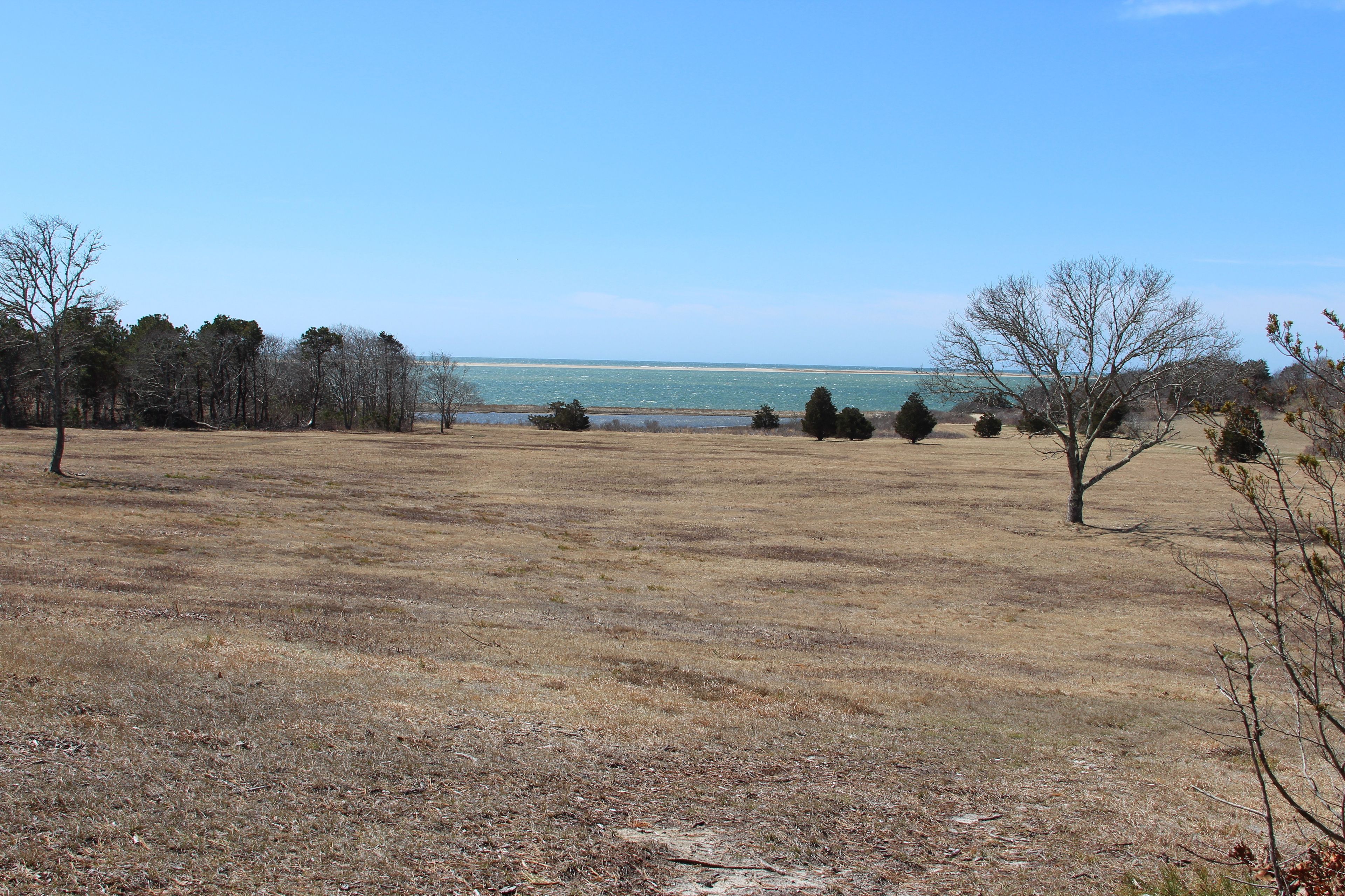 early spring view towards water