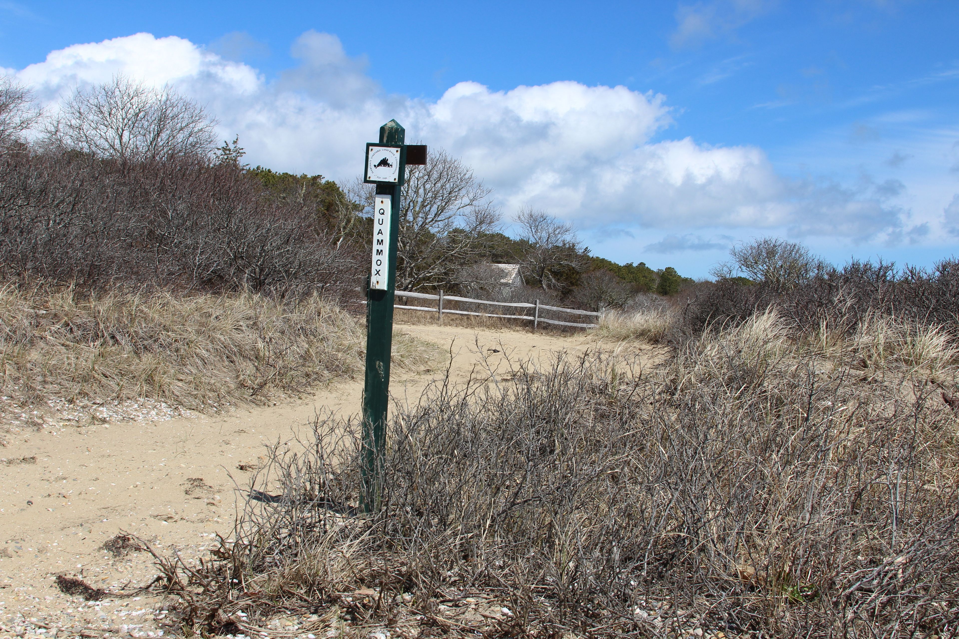 at boat launching end of trail