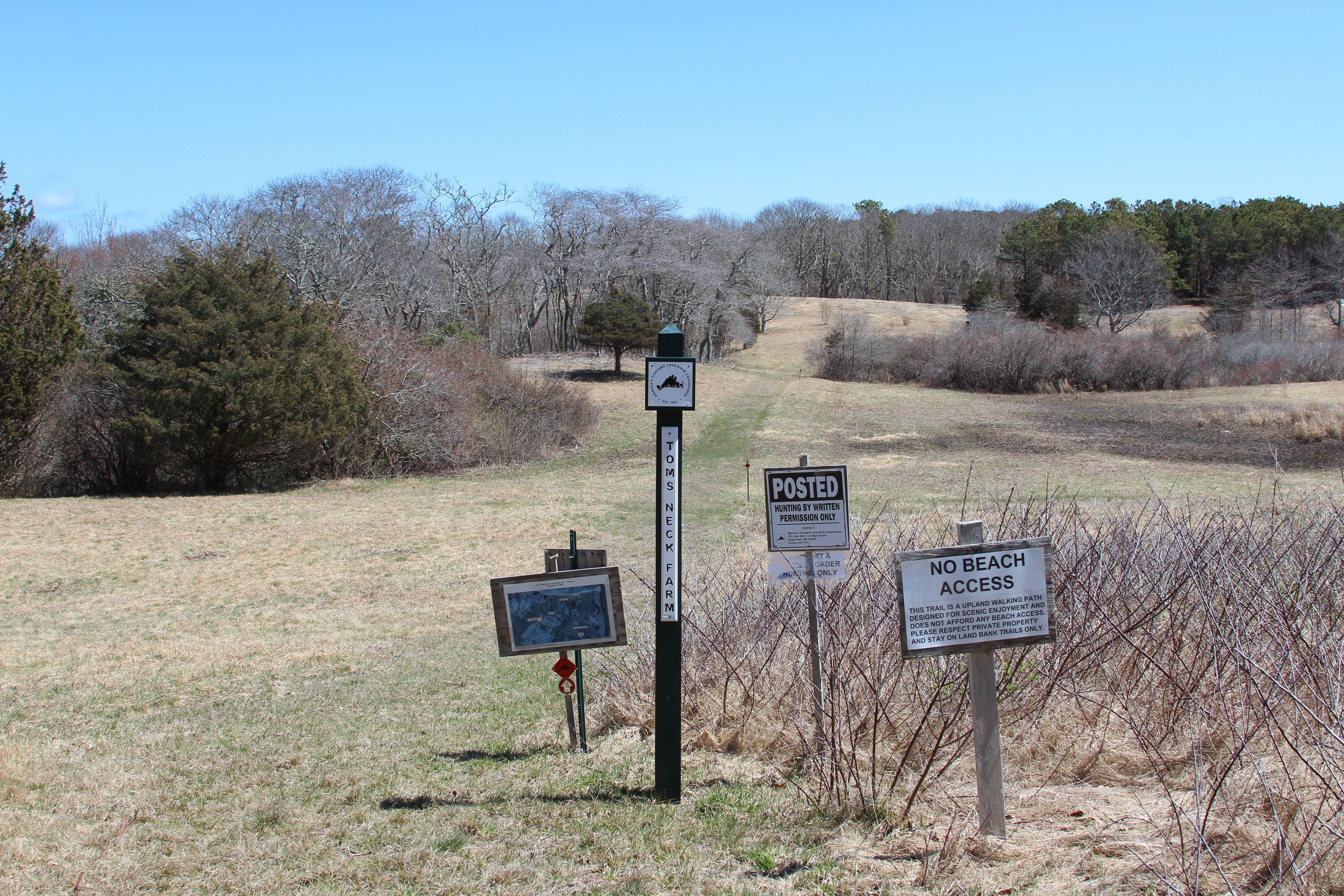 at intersection with Trail #5