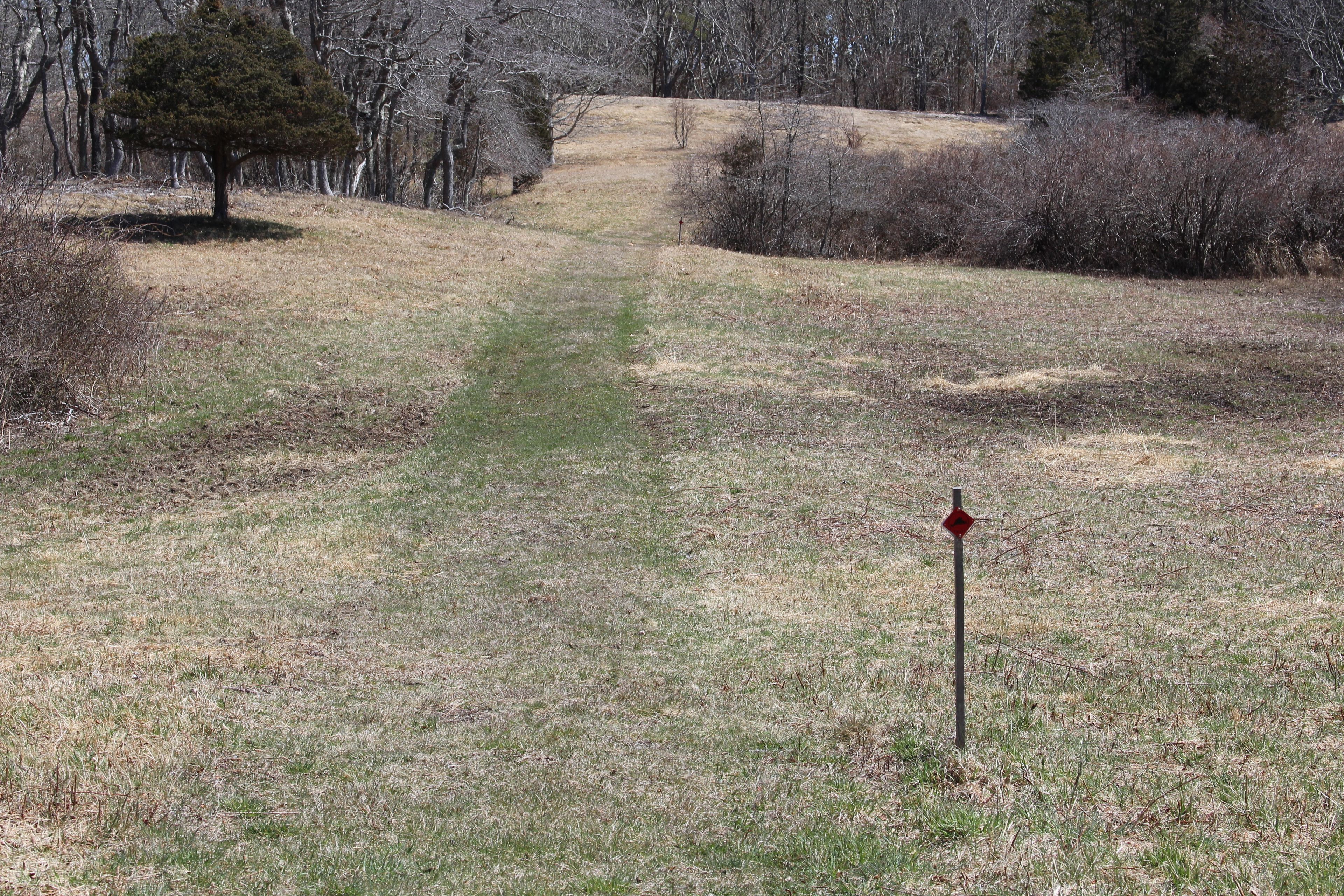 grassy trail