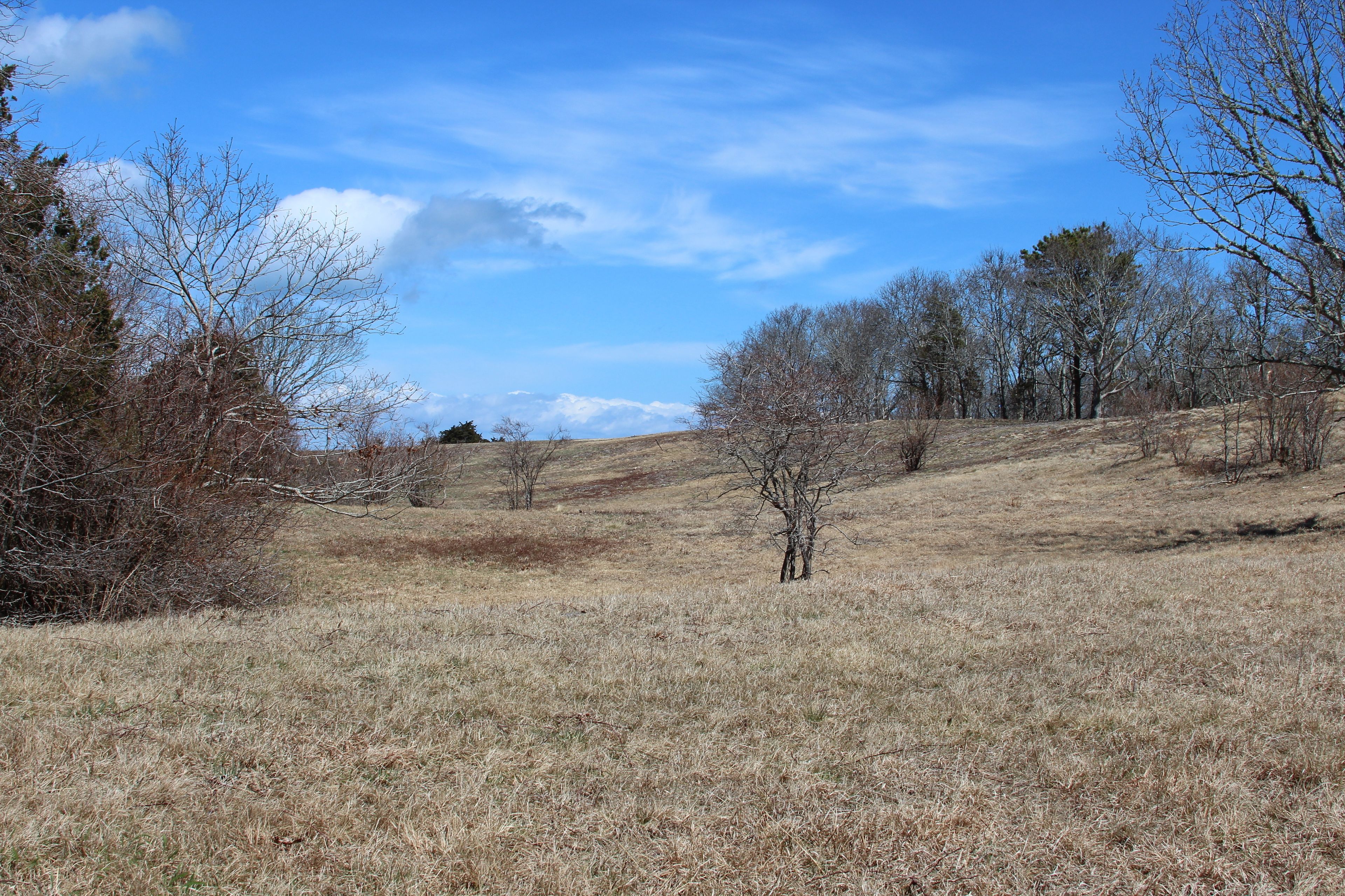 looking back over field