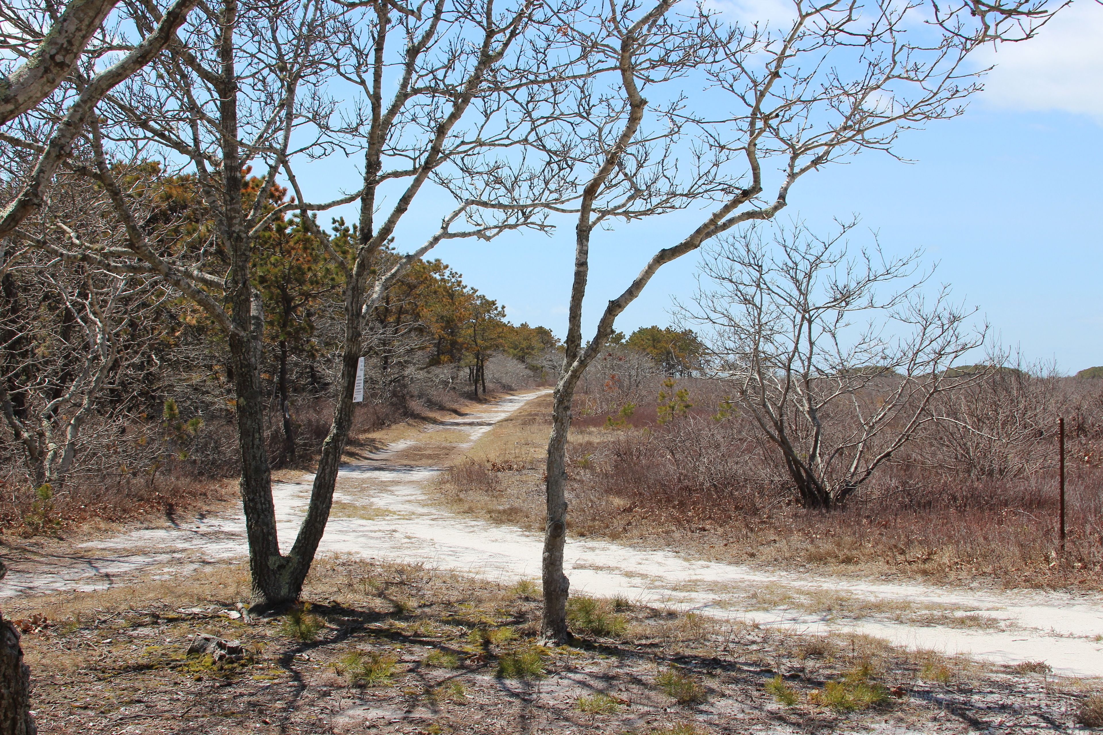 eastern end of Osprey Trail