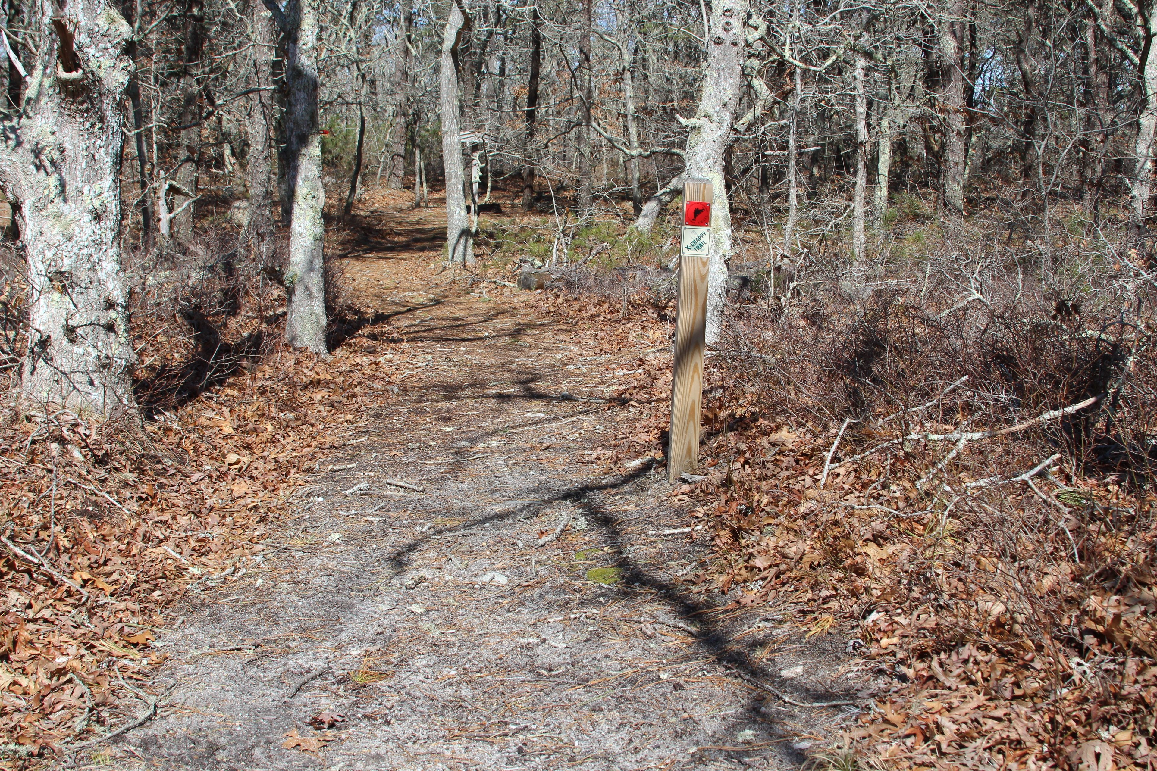 Three Ponds by Chappaquiddick Road