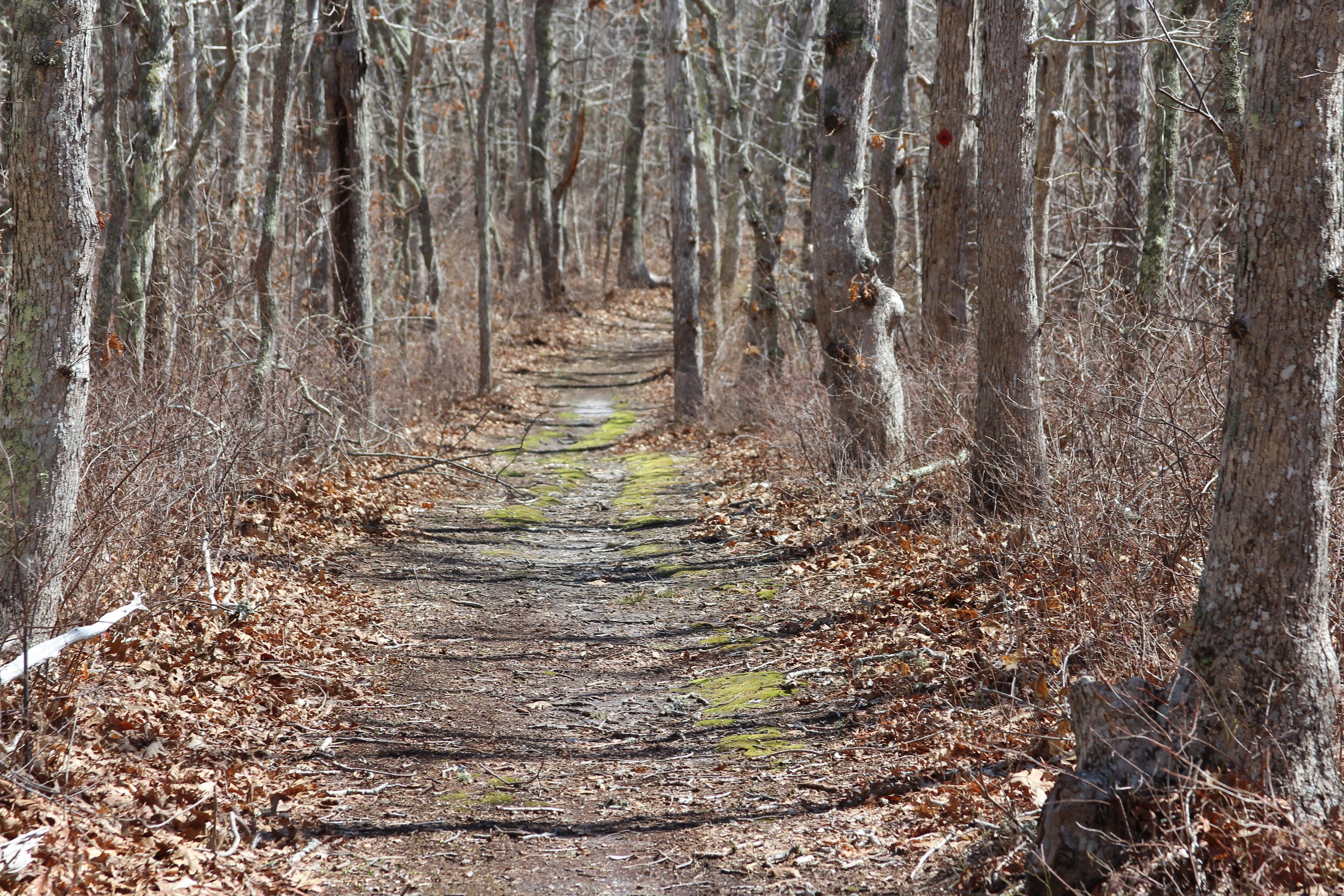 heading west towards Poucha Pond 