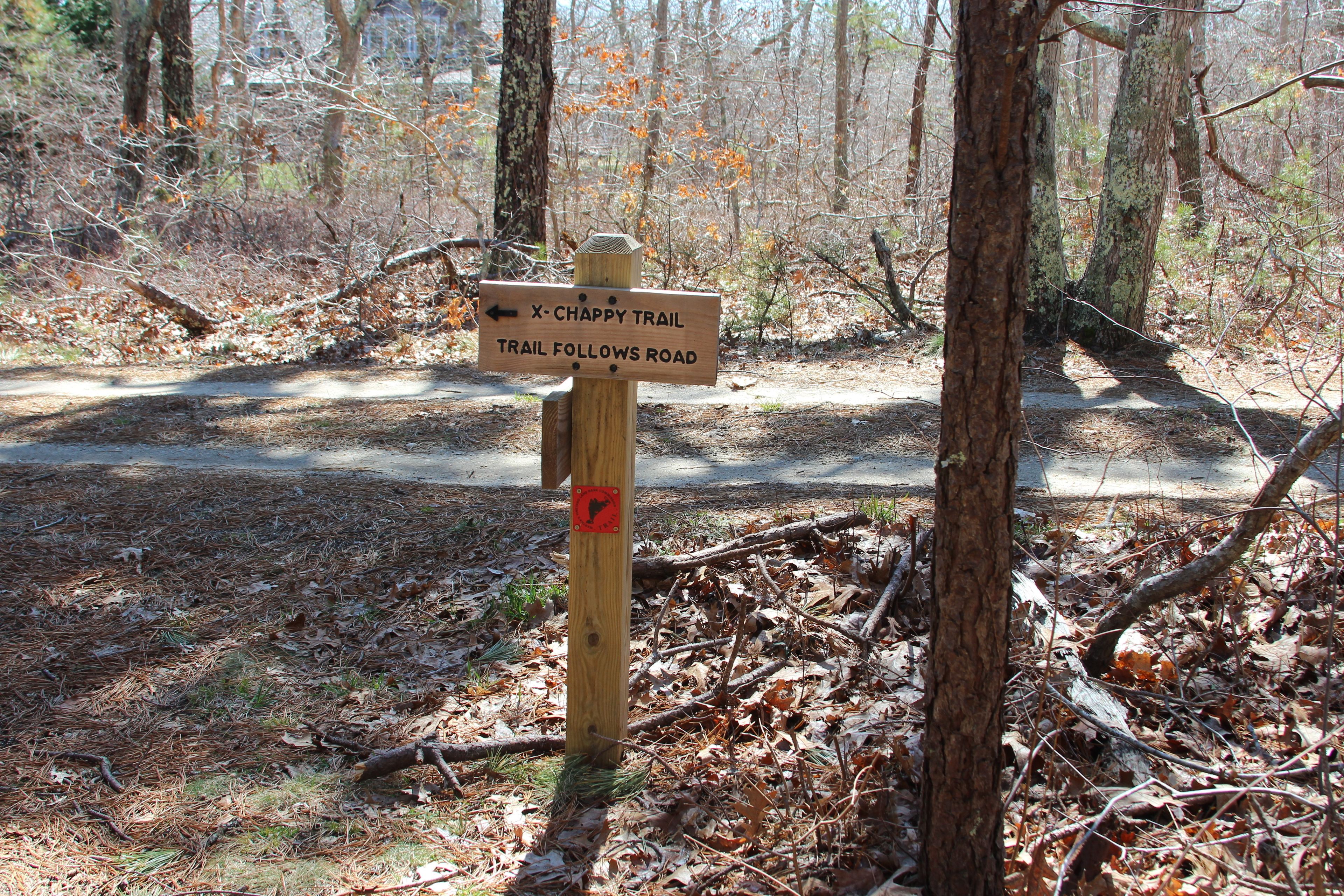 trail becomes dirt road for a short part