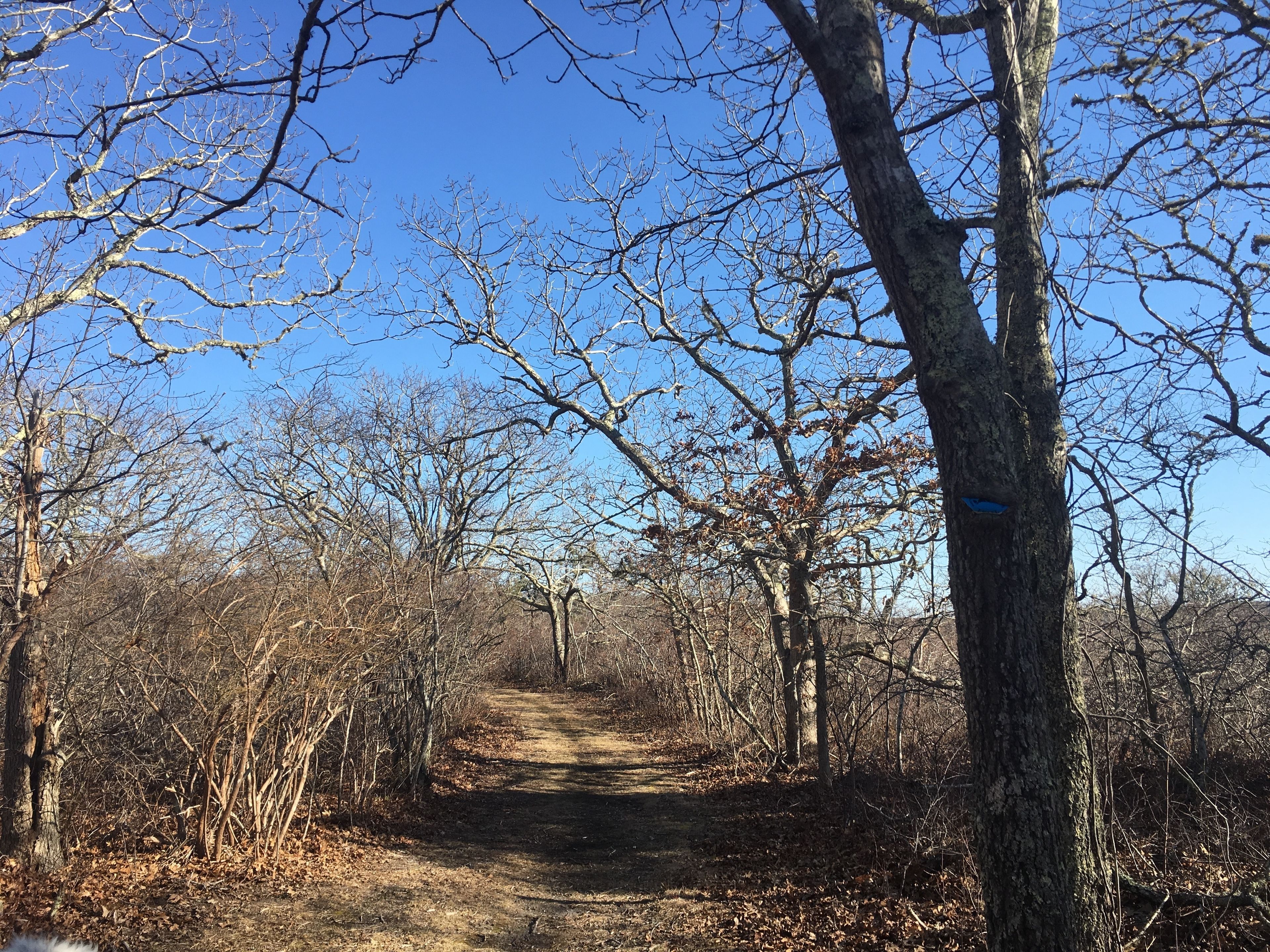 trail to saltmarsh